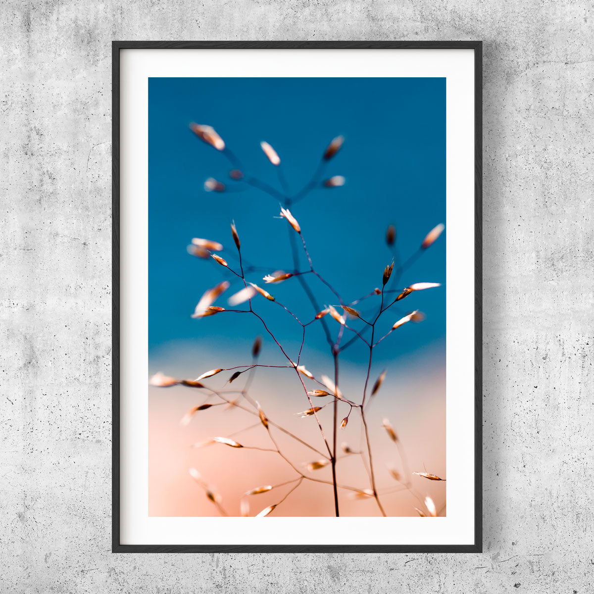 Flowers in colors