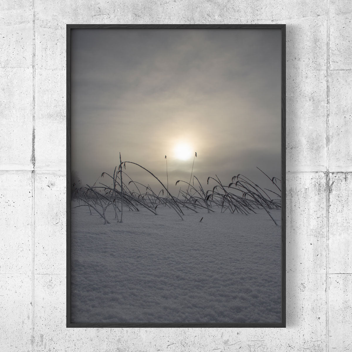New fallen snow
