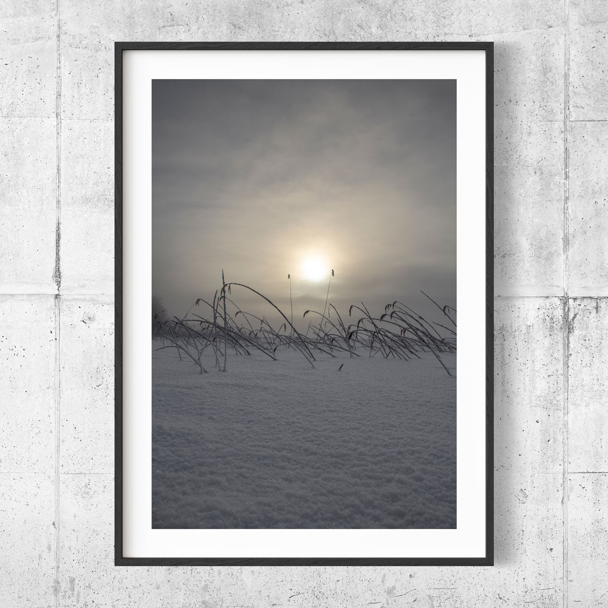 New fallen snow