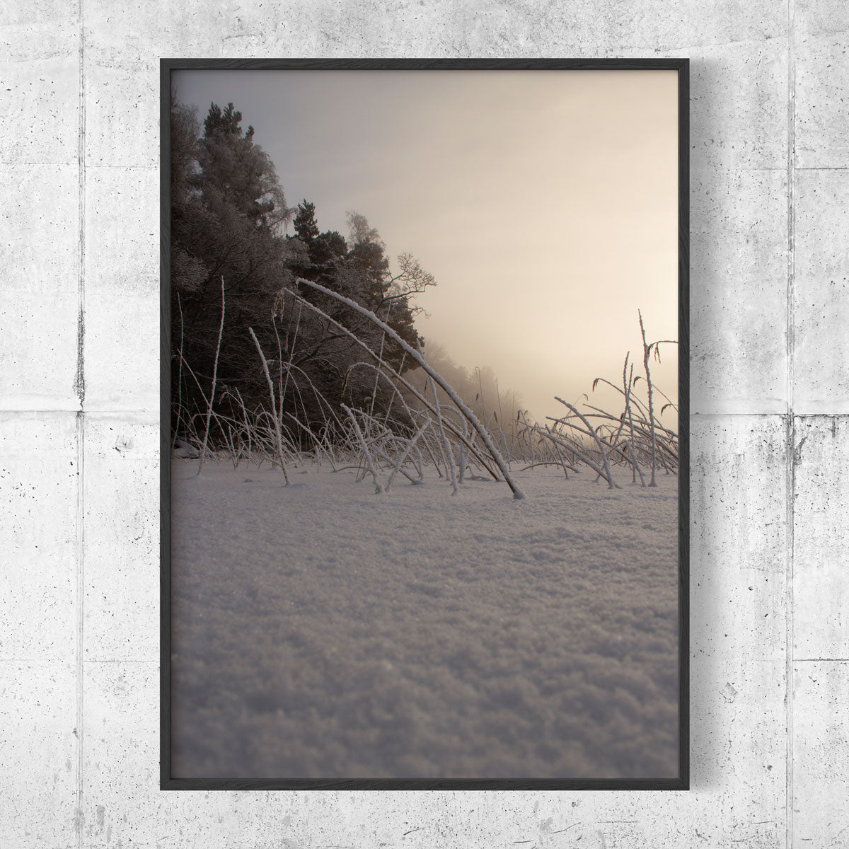 New fallen snow II