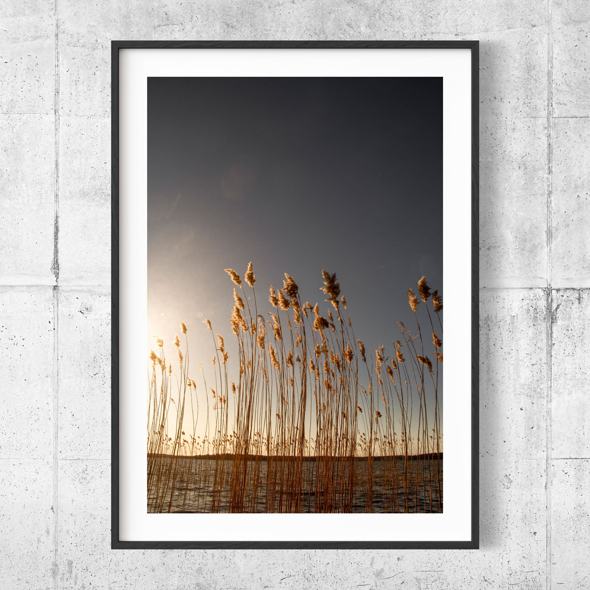 Reed Bolinder strand III