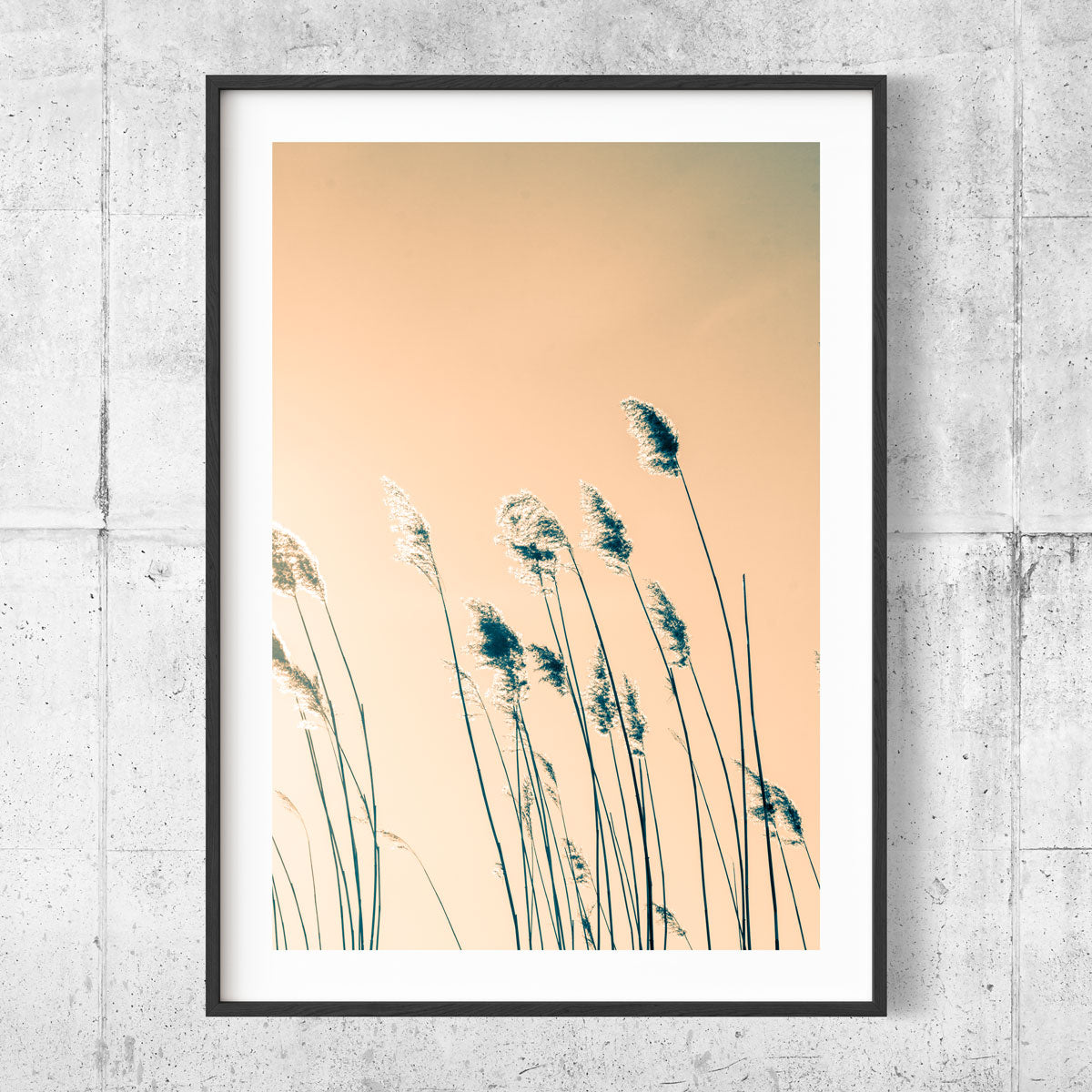 Reed color II