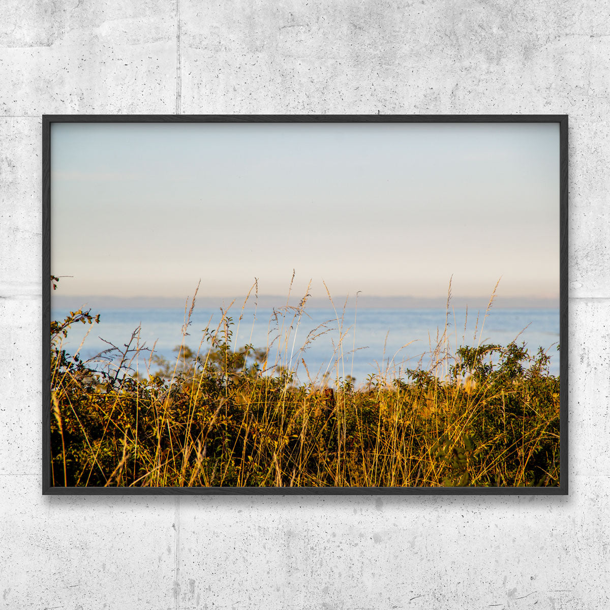 Summer sea Gotland