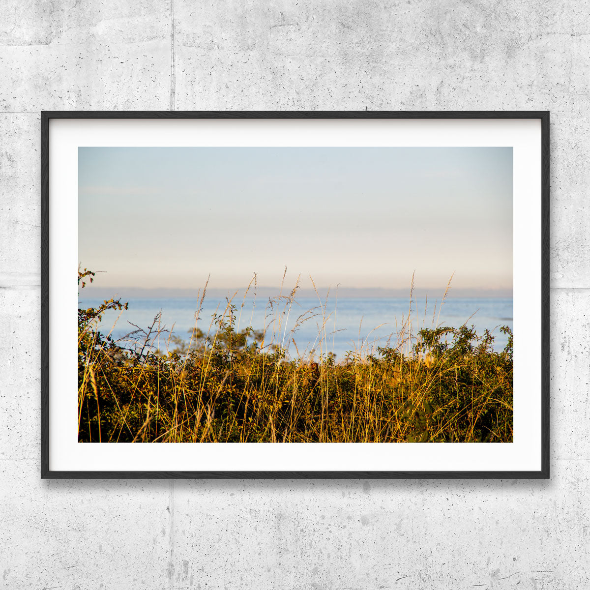 Summer sea Gotland