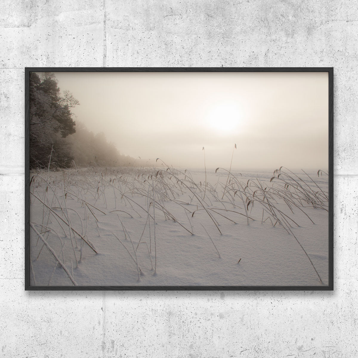 Winter landscape at Mälaren