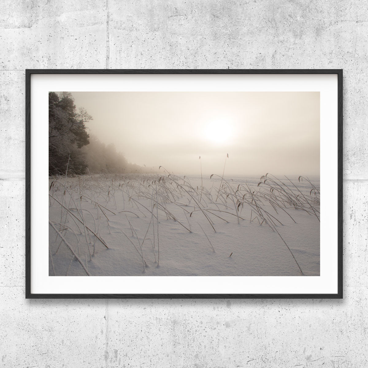 Winter landscape at Mälaren