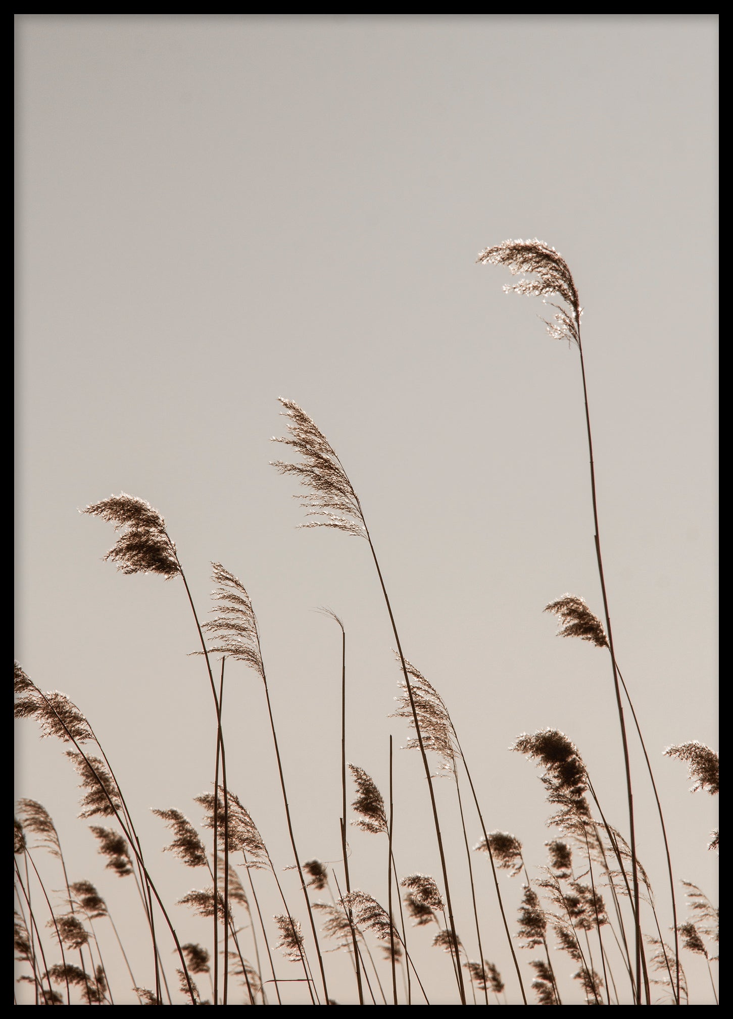 Reed Bolinder strand II