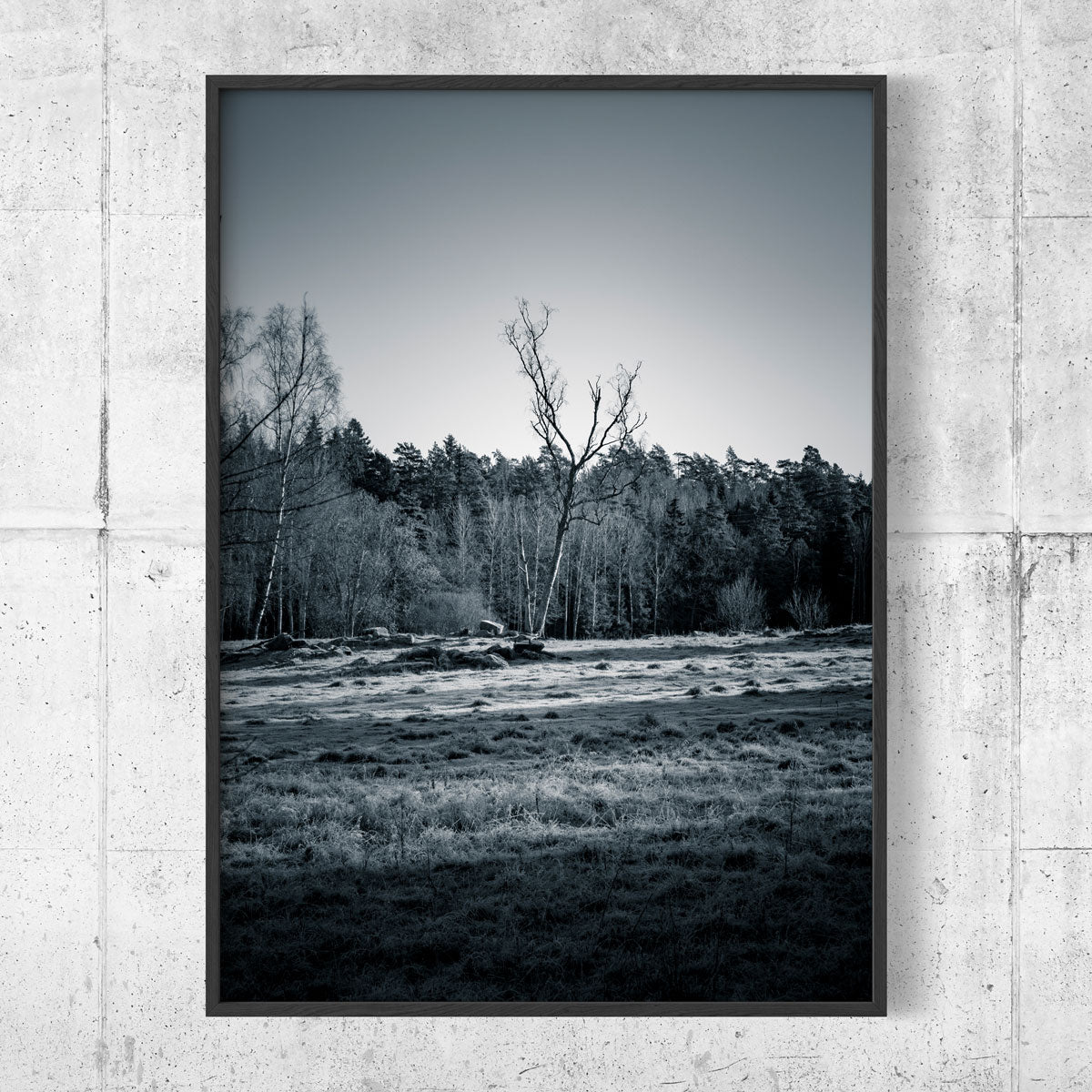 Tree on blue field