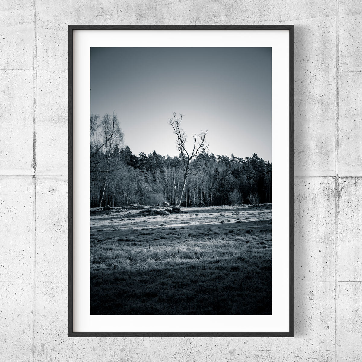 Tree on blue field