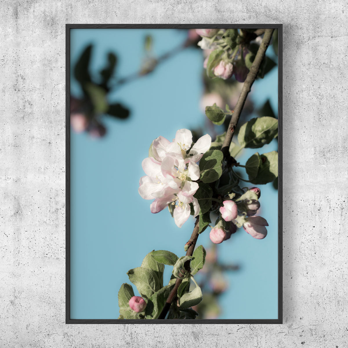 Spring apple tree poster