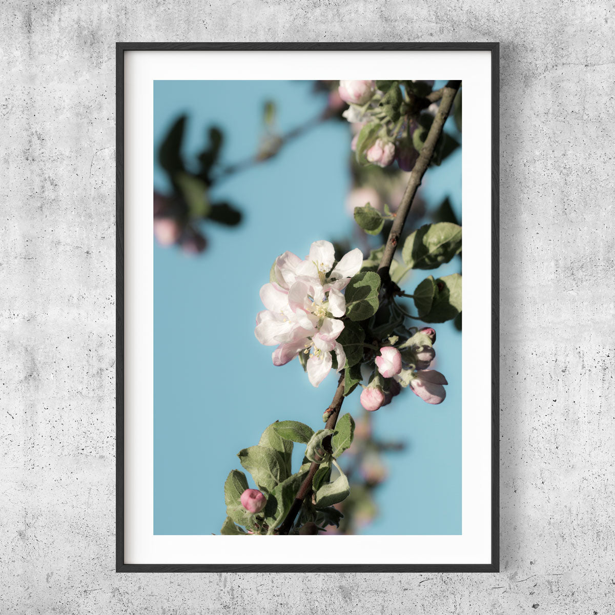 Spring apple tree poster