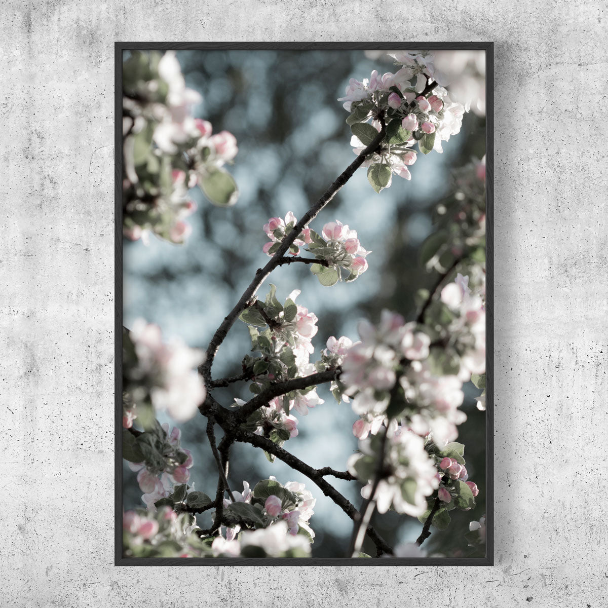 Spring apple tree poster 3