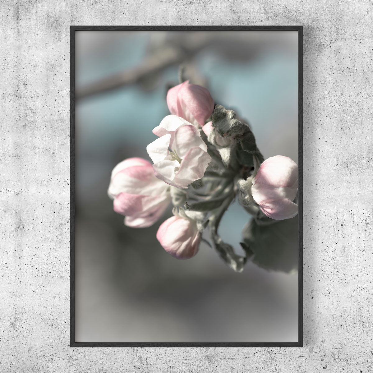 Smooth apple tree poster