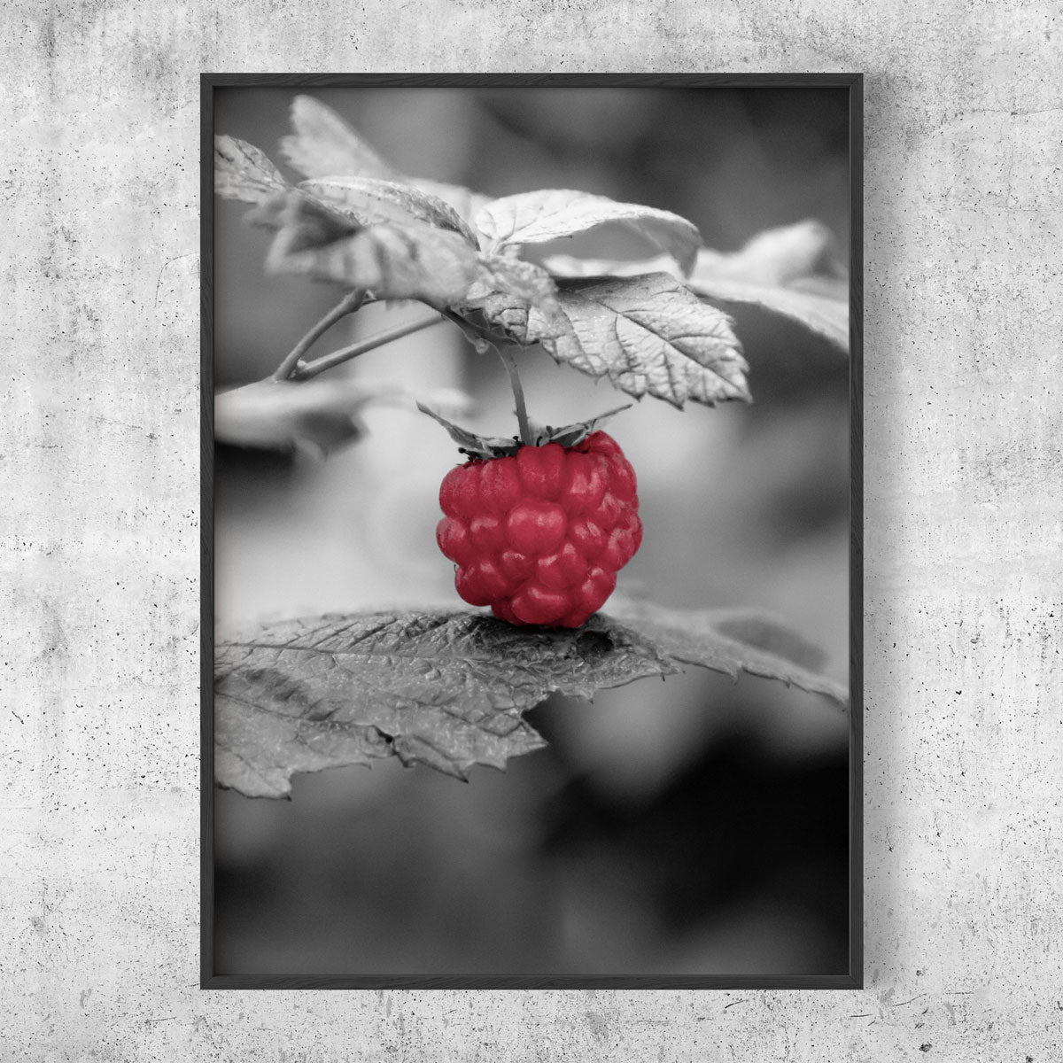 Raspberry poster