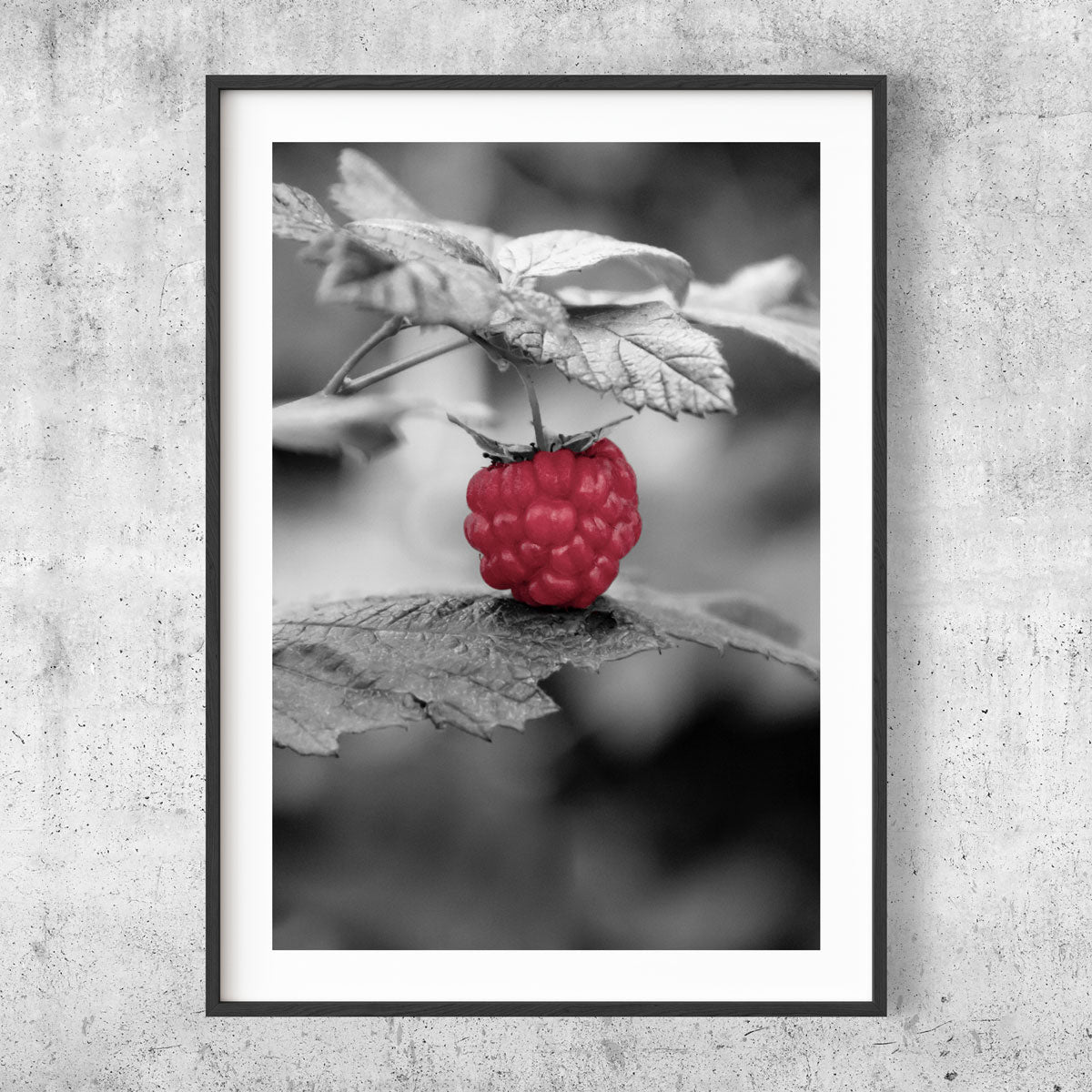 Raspberry poster