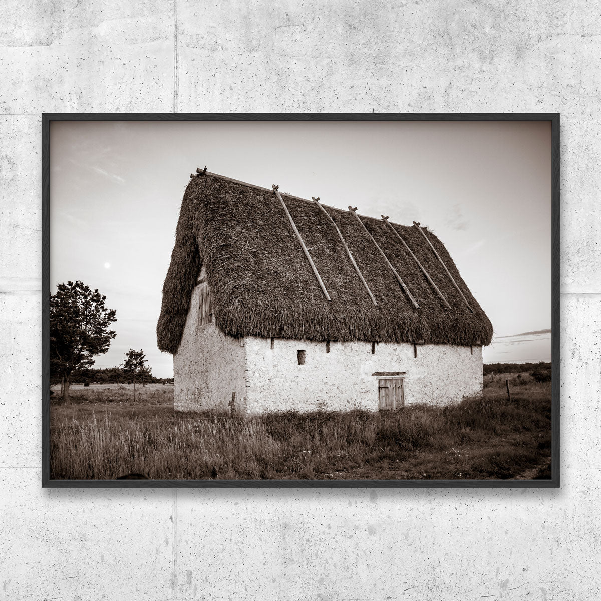 Lambgift Gotland sepia poster