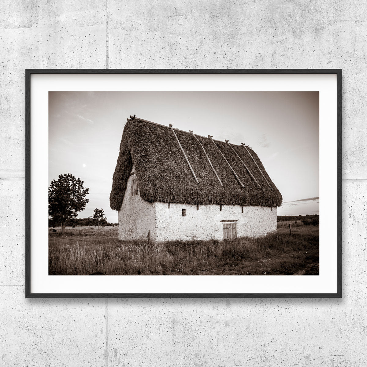 Lambgift Gotland sepia poster