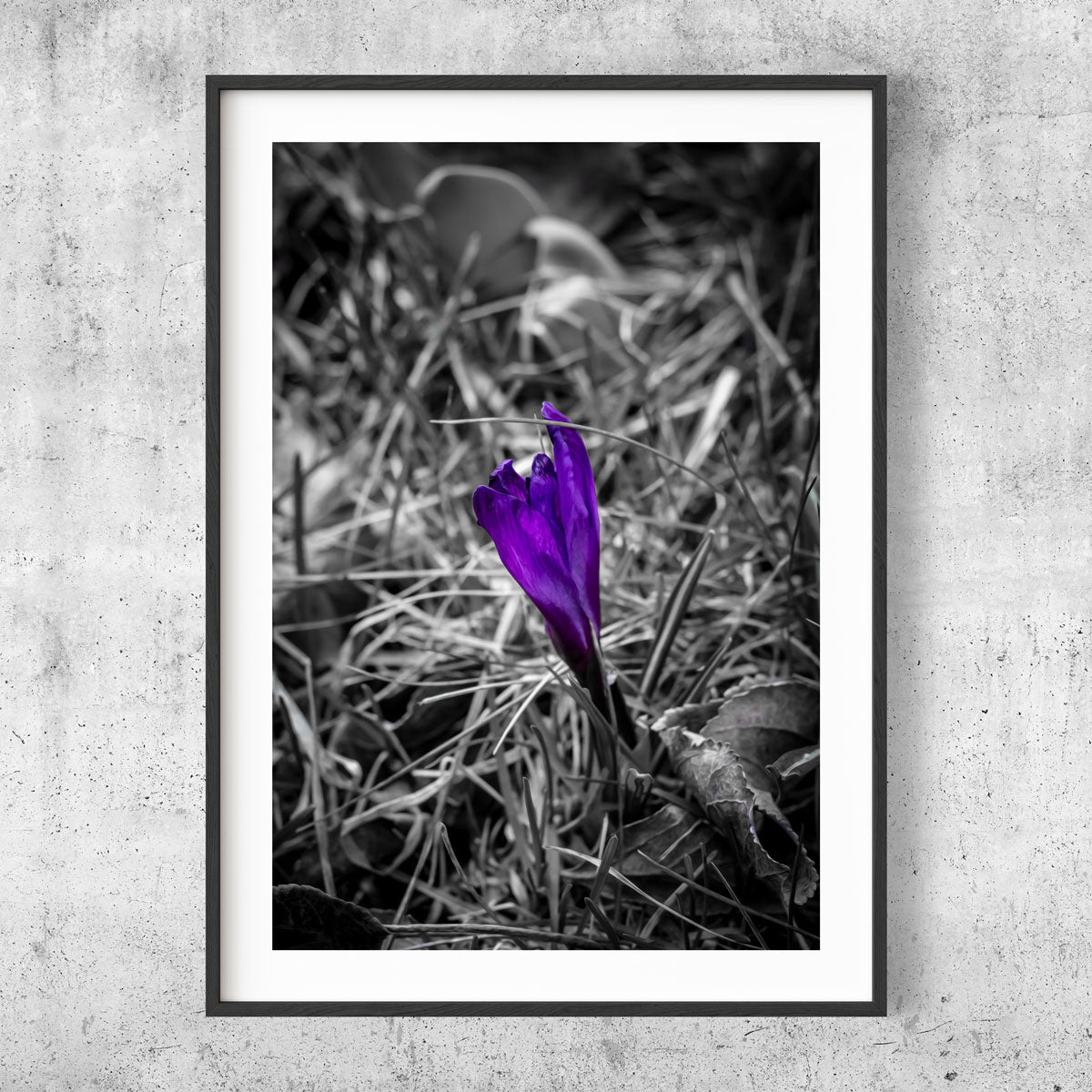 Purple flower