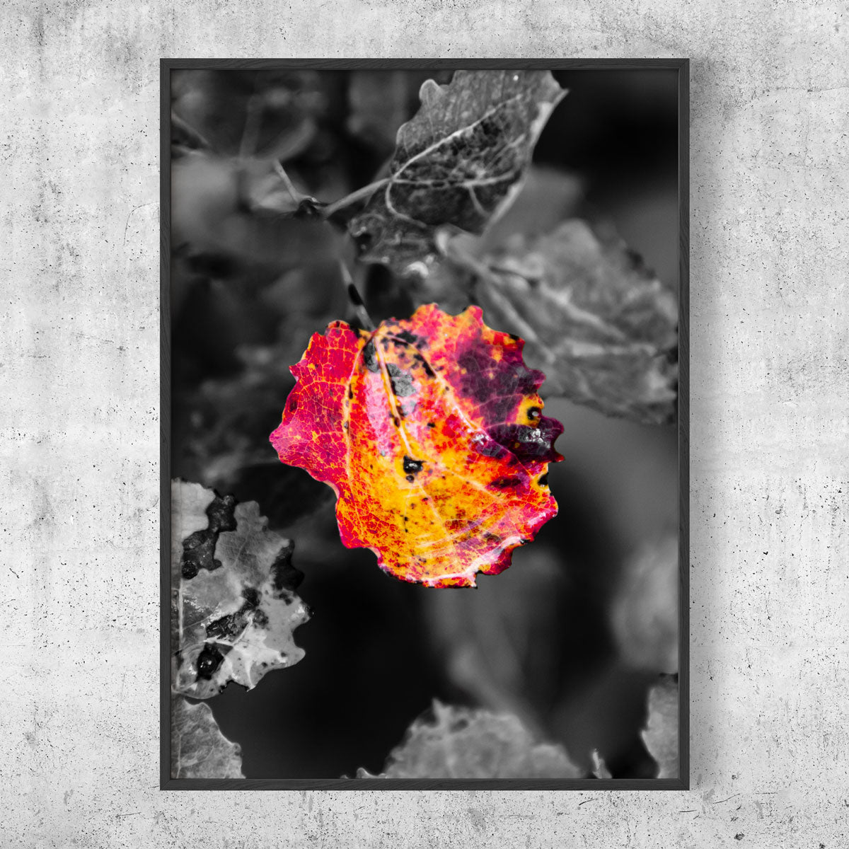 Colorful leaf poster