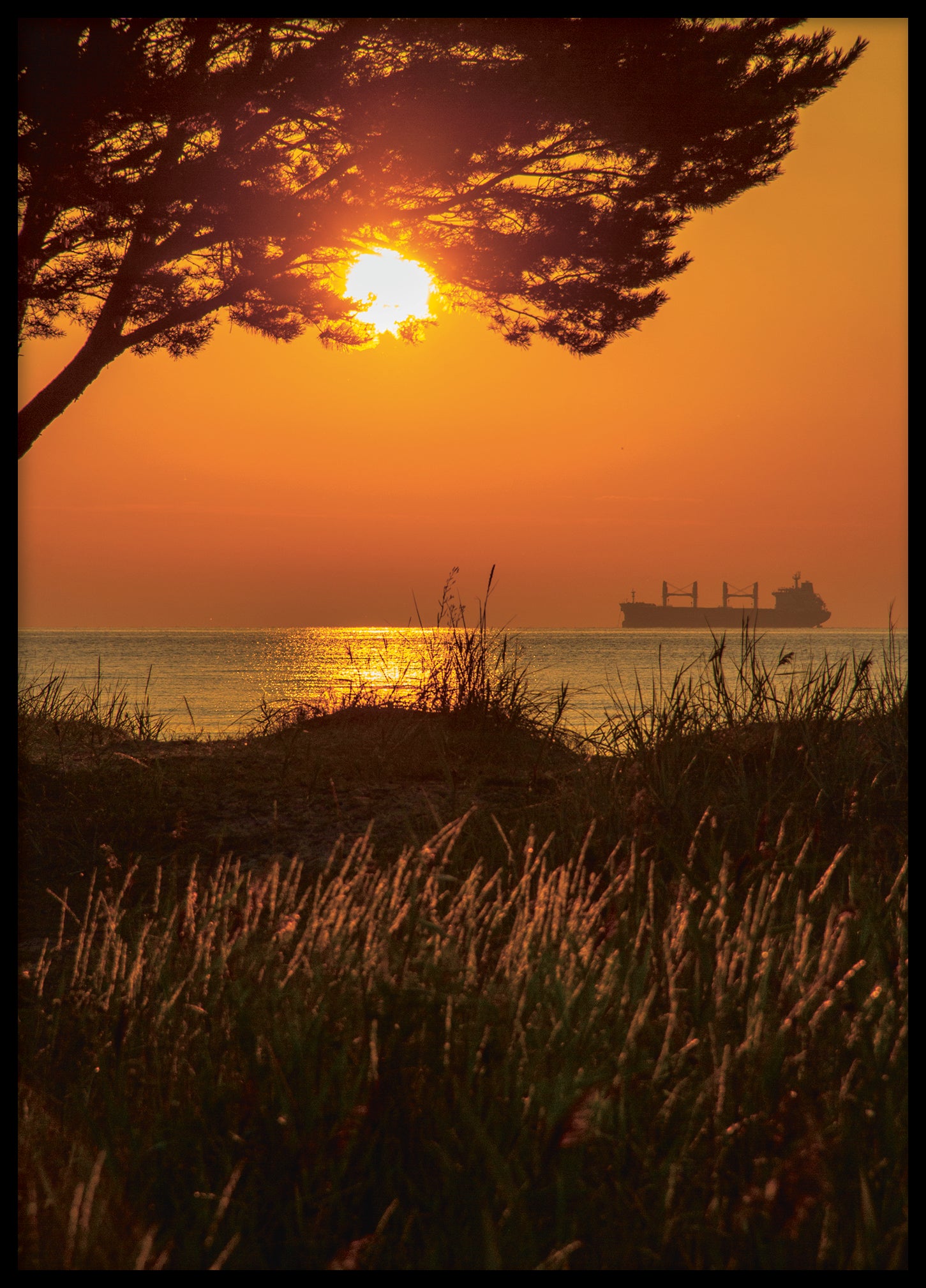 Morning view at Åminne