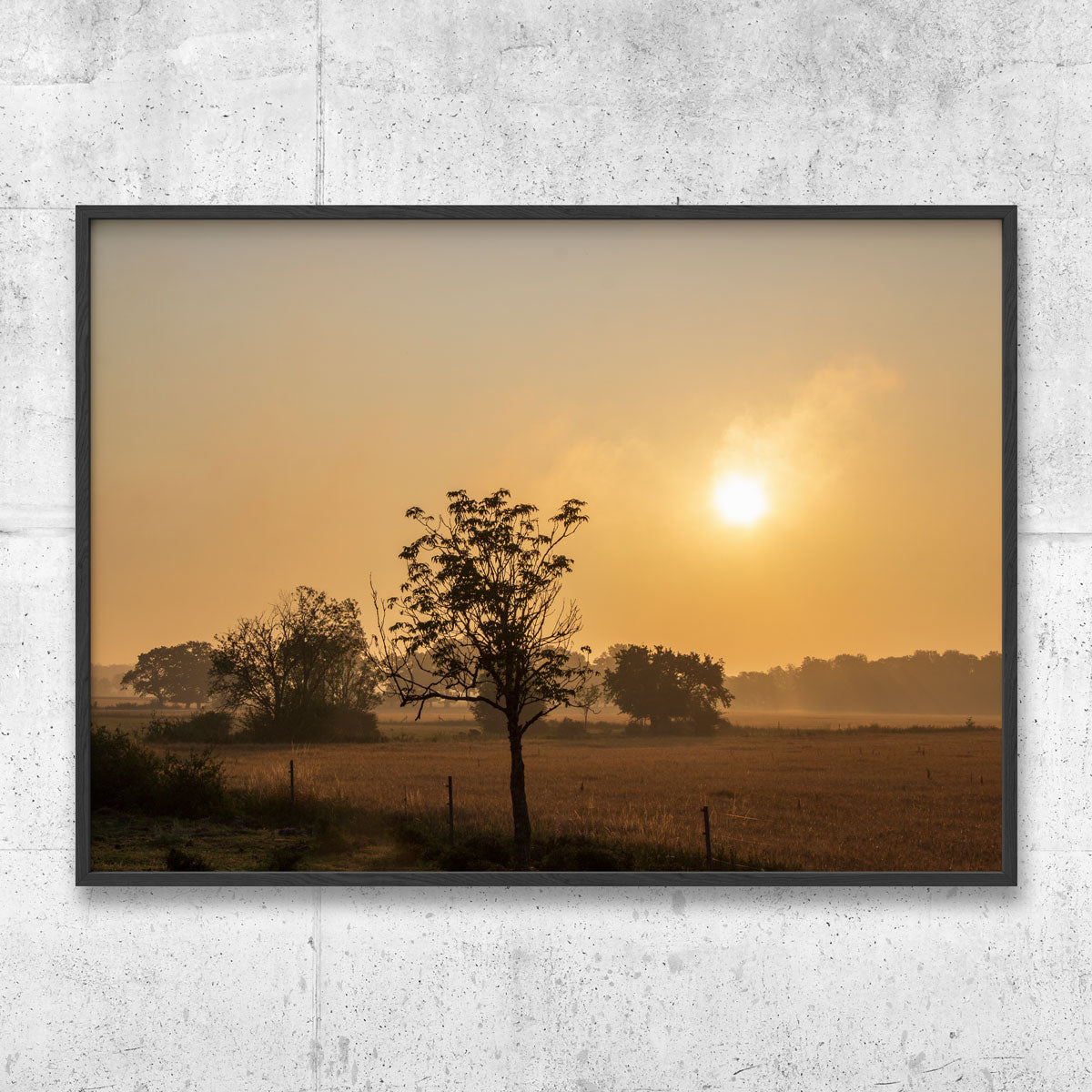 Gotland morning landscape