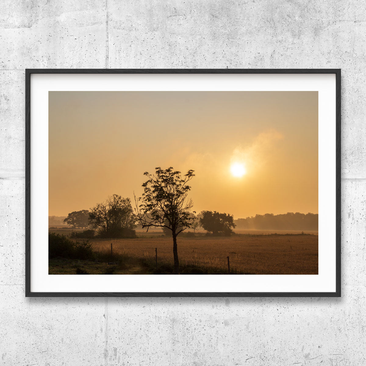 Gotland morning landscape