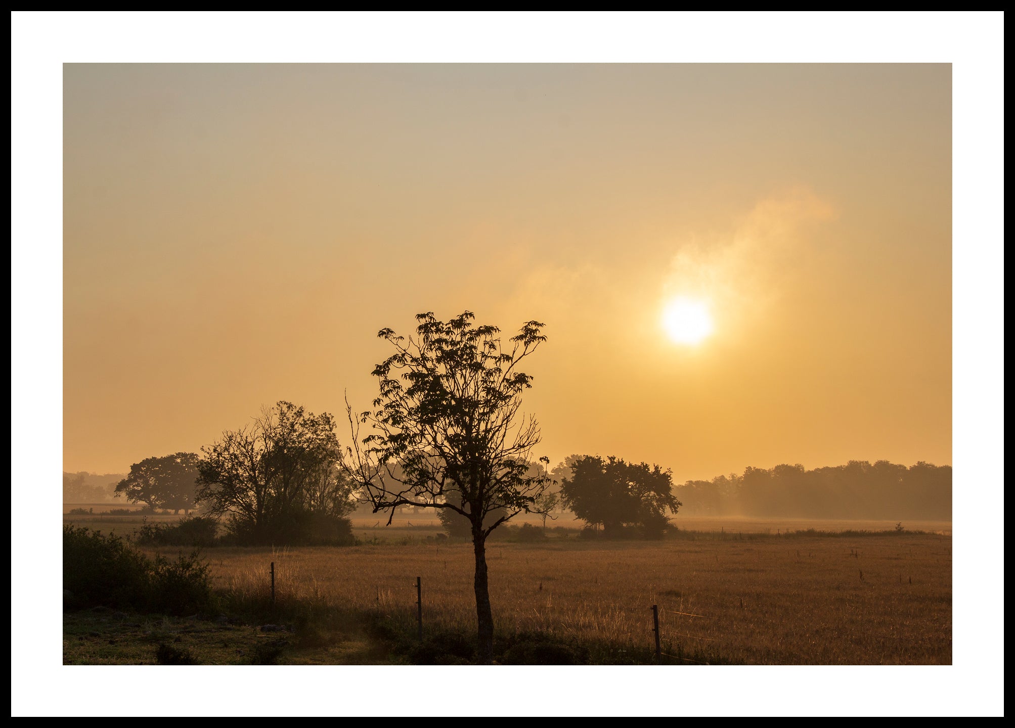 Gotland morning landscape