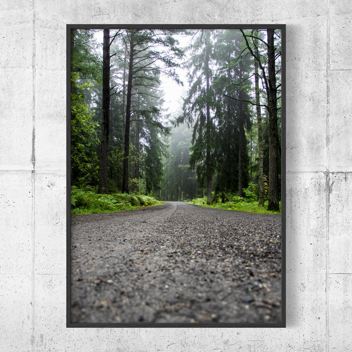 Road in mist