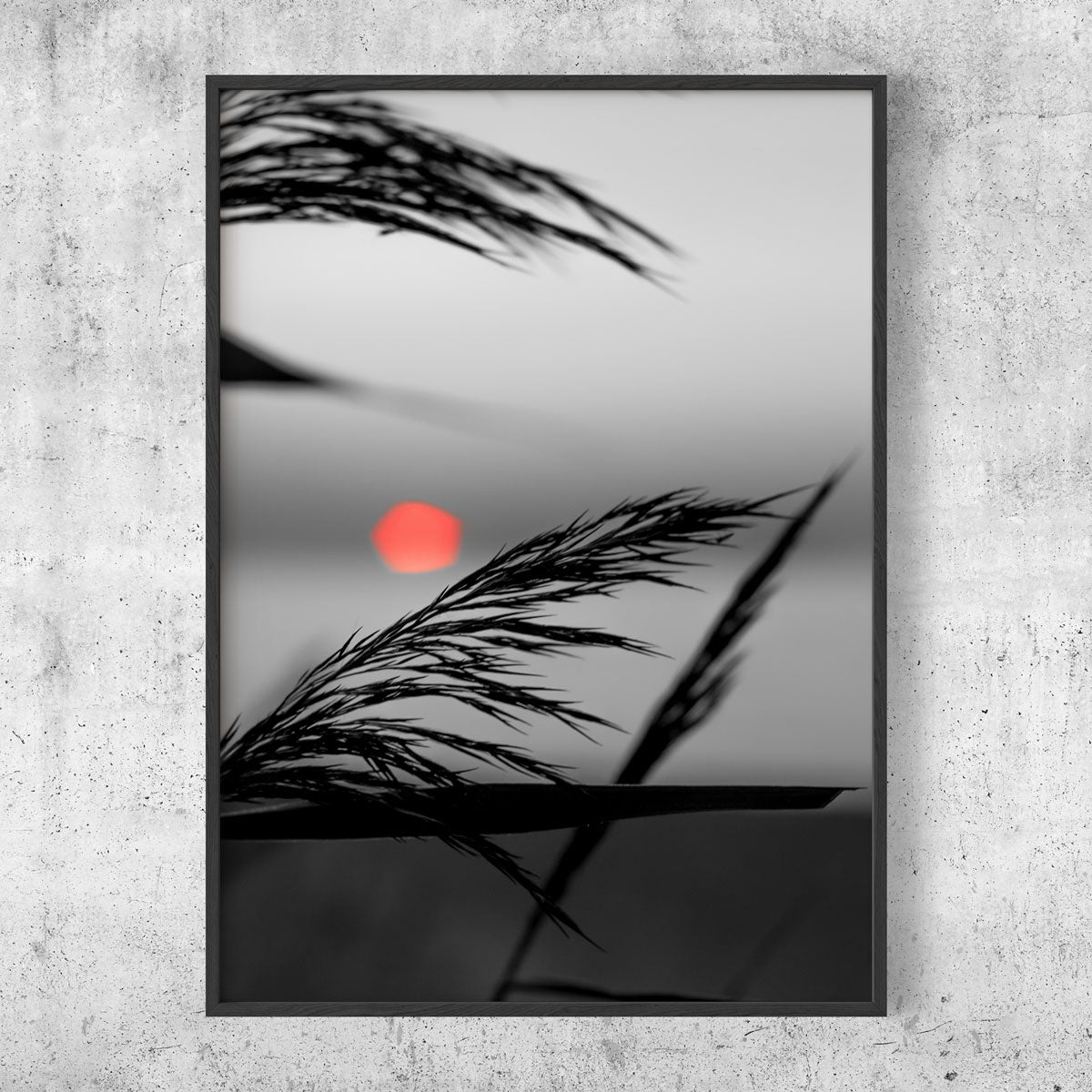 Red sun silhouette Gotland