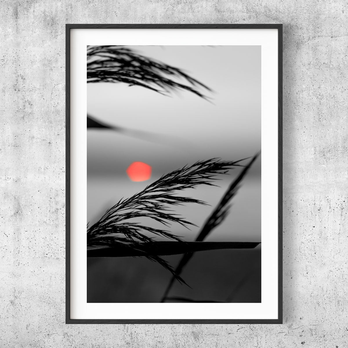 Red sun silhouette Gotland