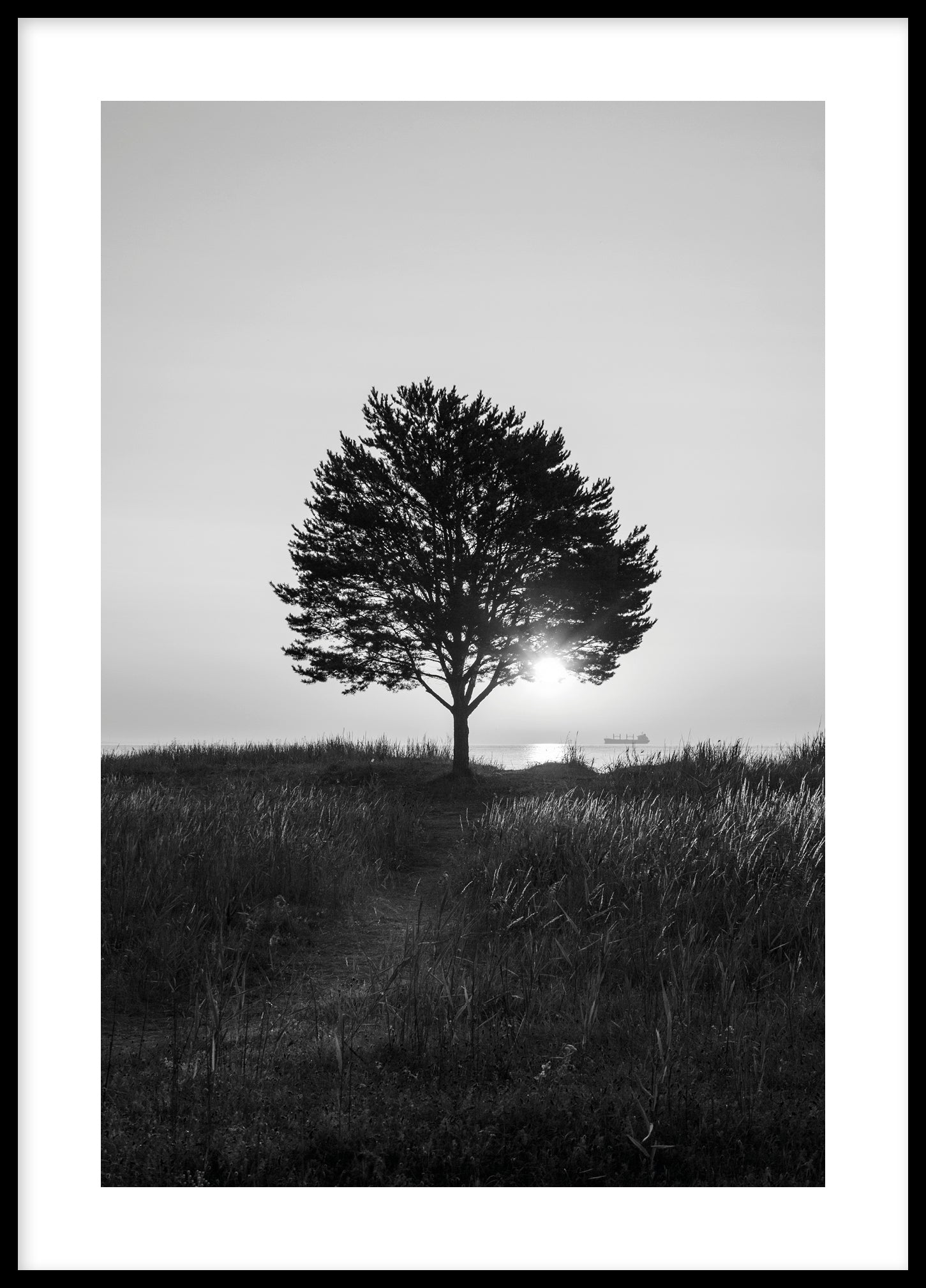 Morning view Åminne BW