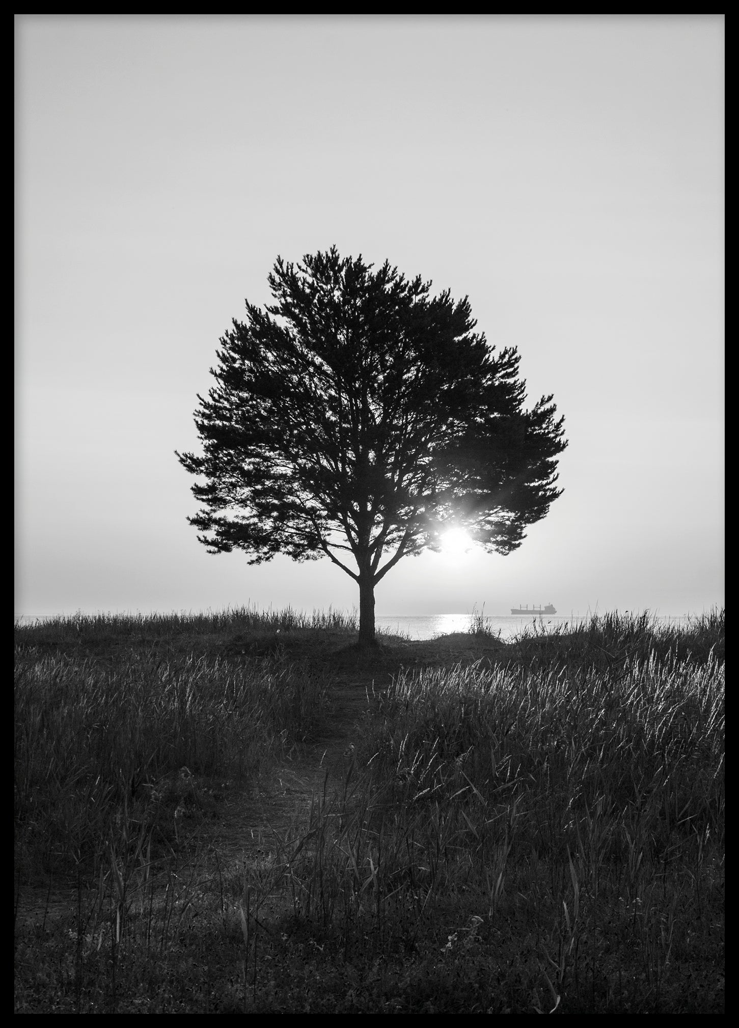 Morning view Åminne BW