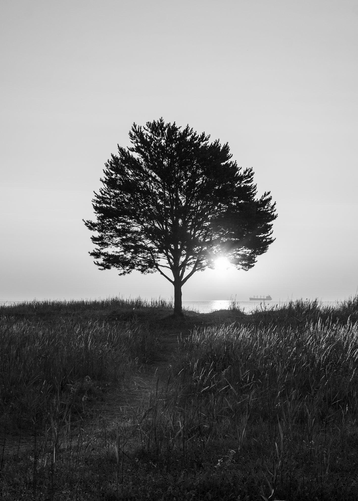 Morning view Åminne BW