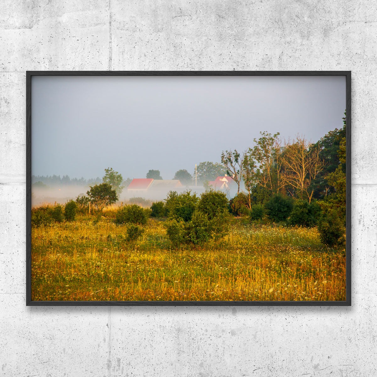 Gotland morning landscape No 4