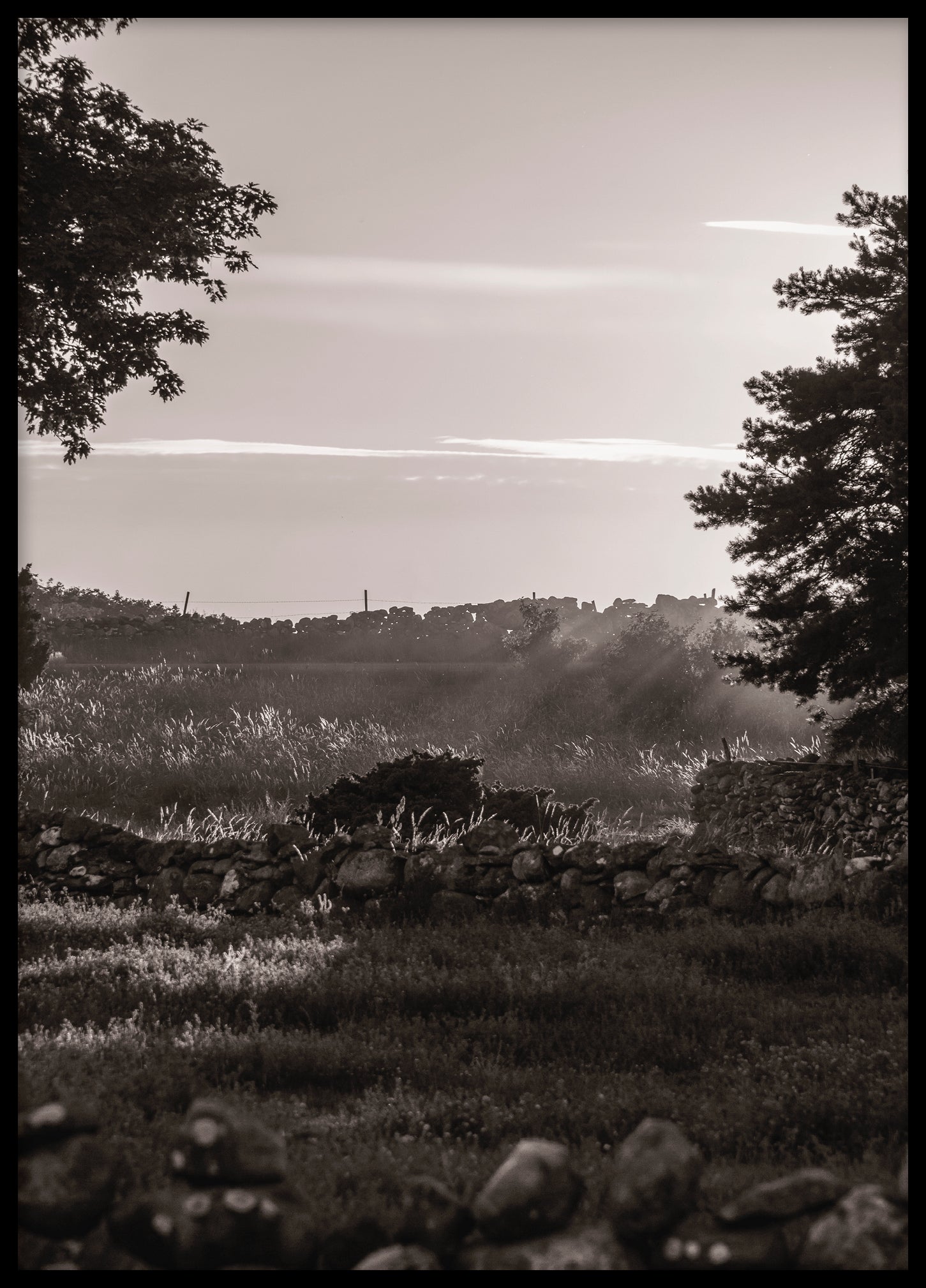 Vändburg Gotland sepia