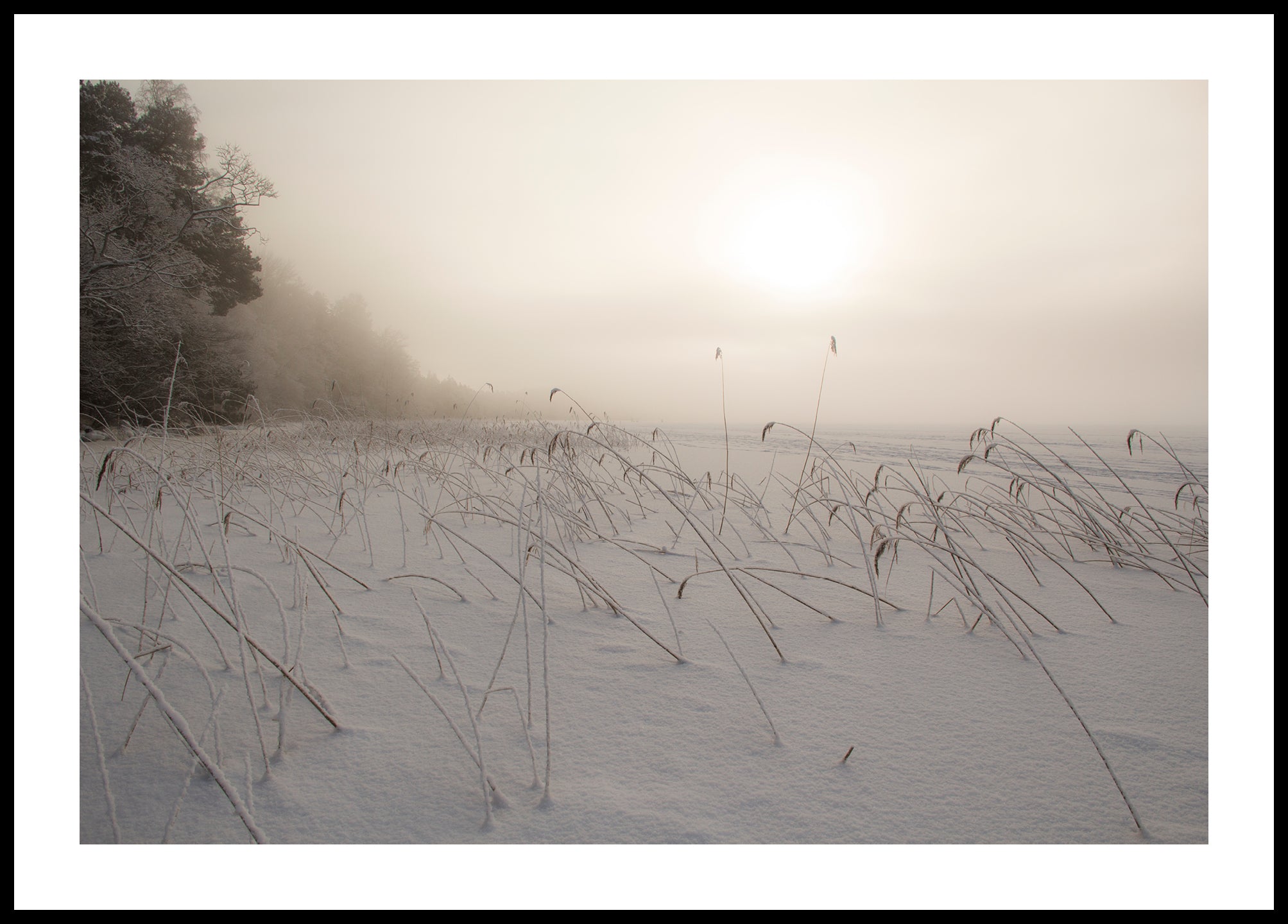 Winter landscape at Mälaren