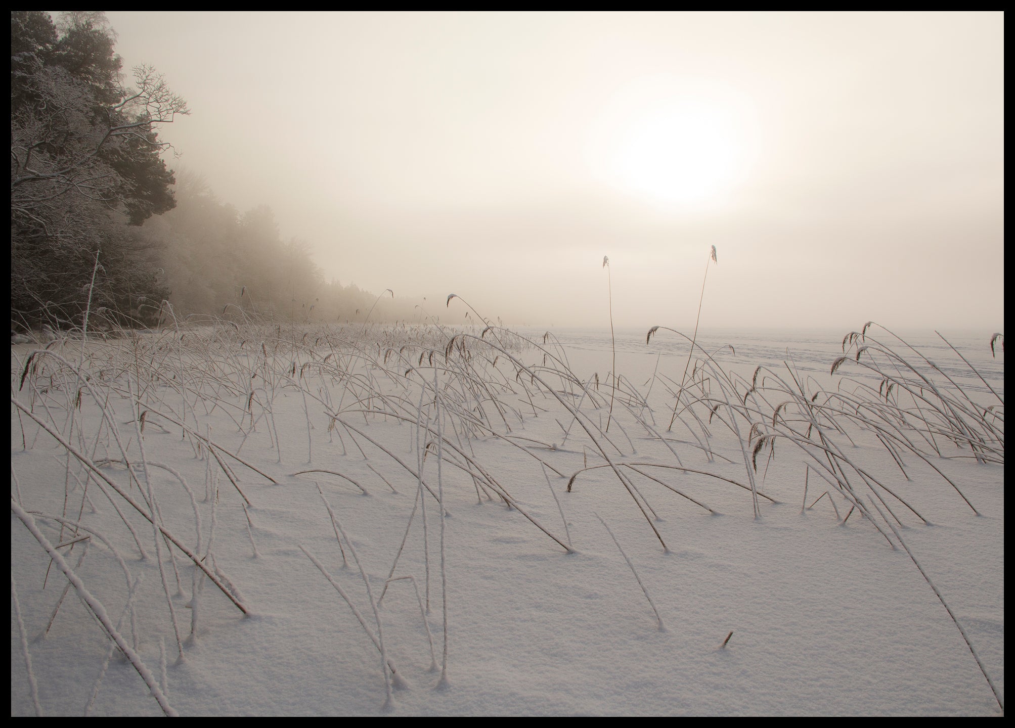 Winter landscape at Mälaren