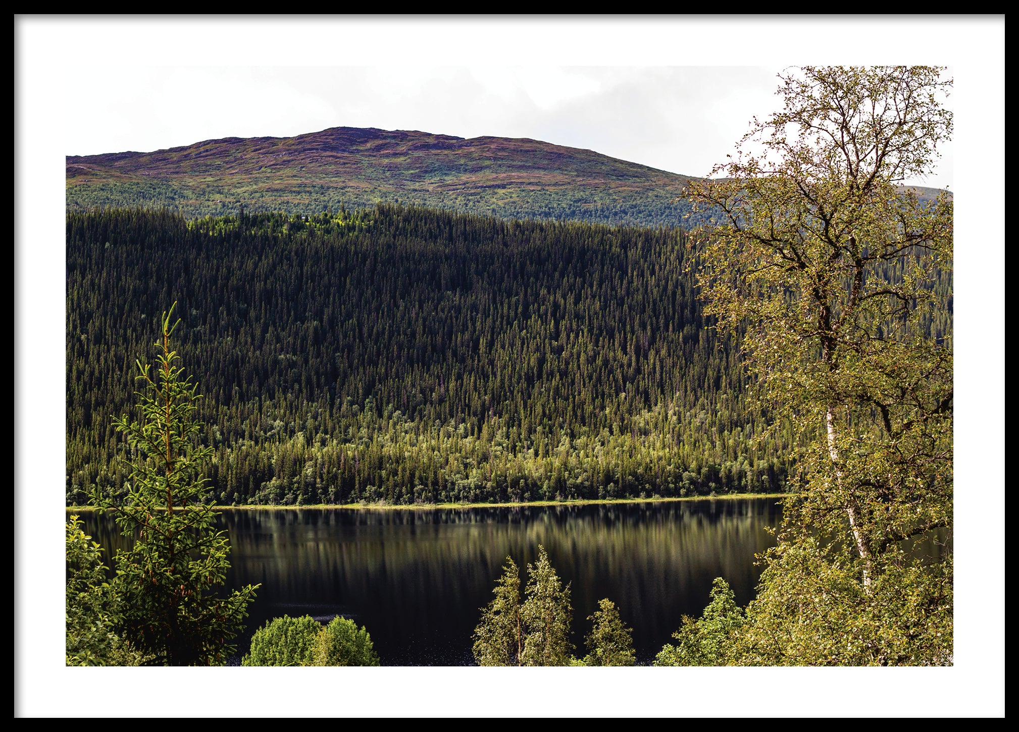 Lake Åre 3