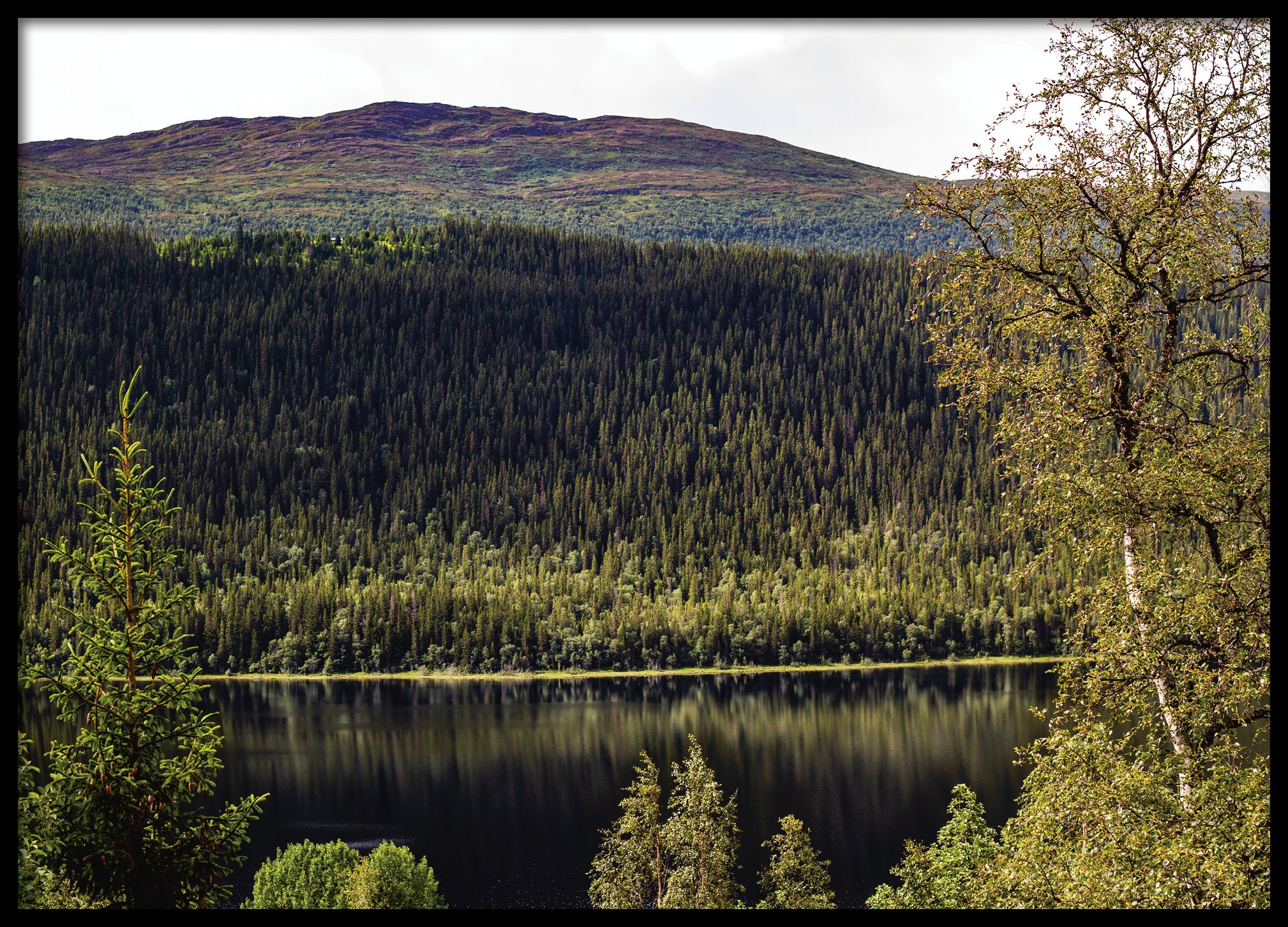 Lake Åre 3