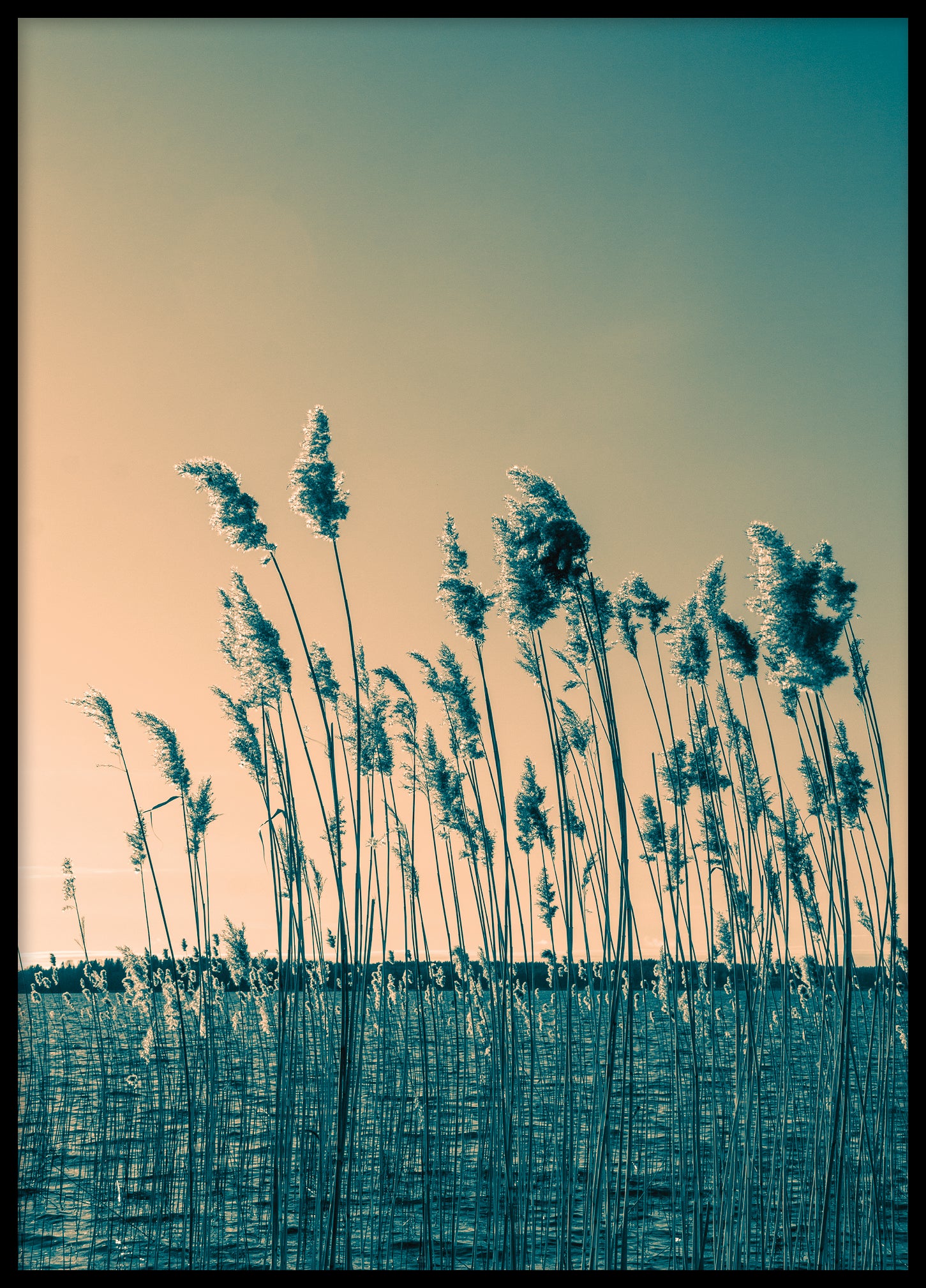 Reed color III