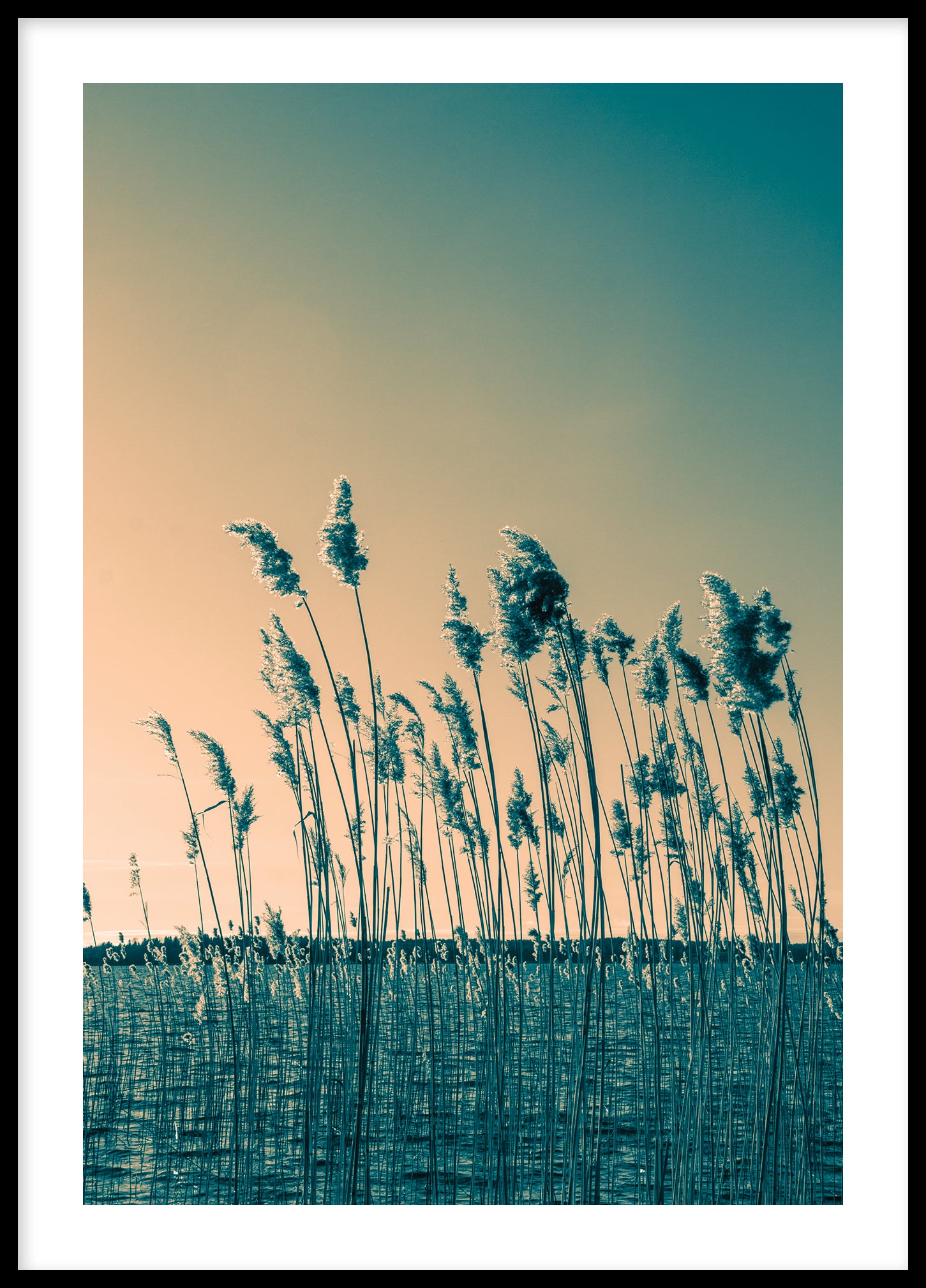 Reed color III