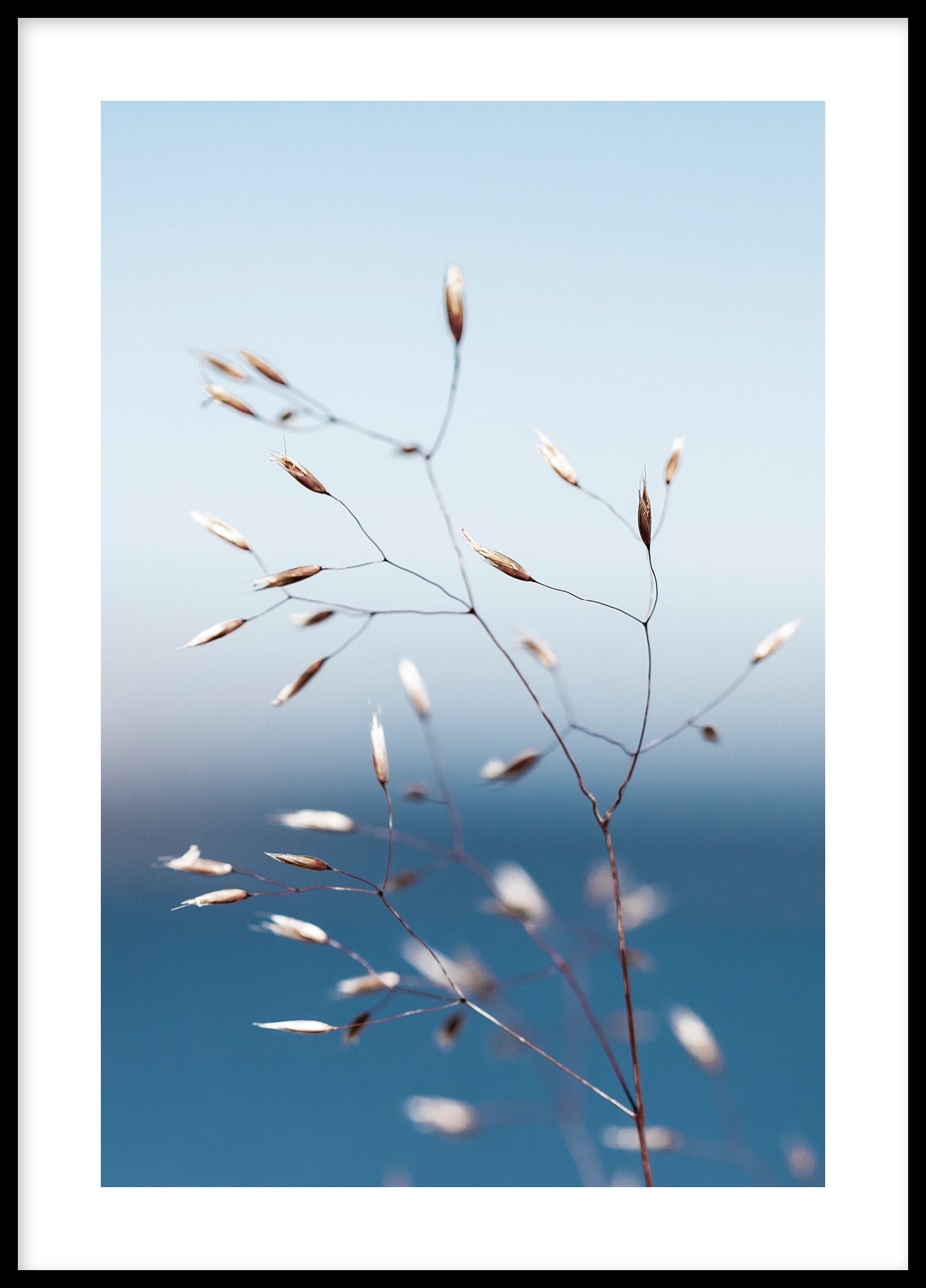 Flowers by the sea