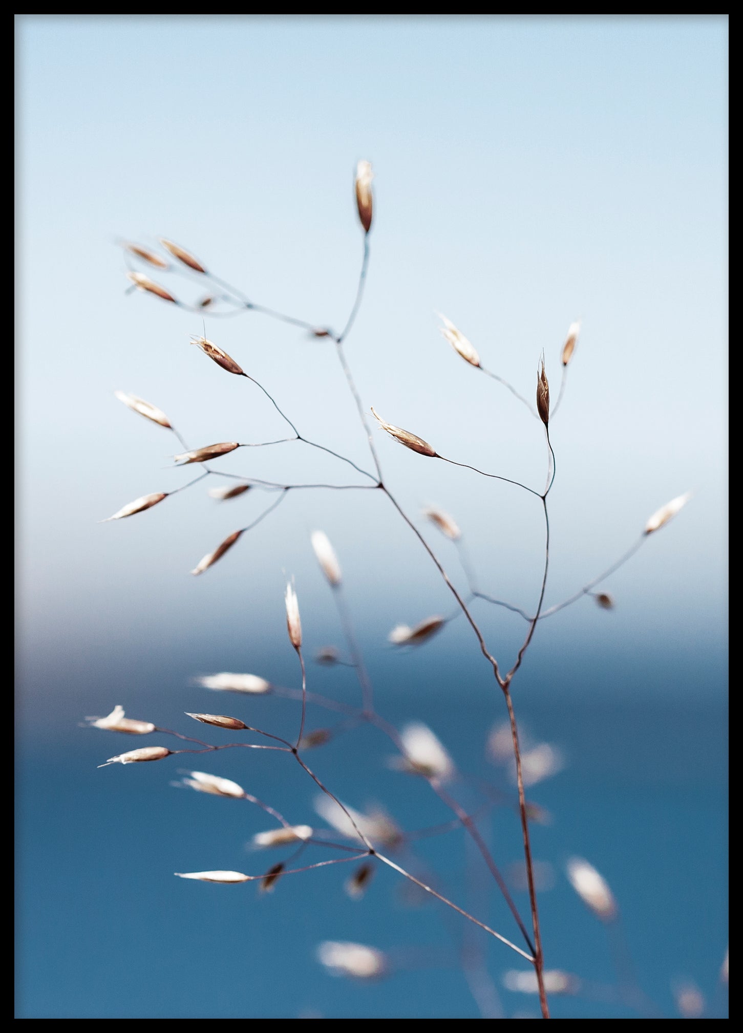 Flowers by the sea