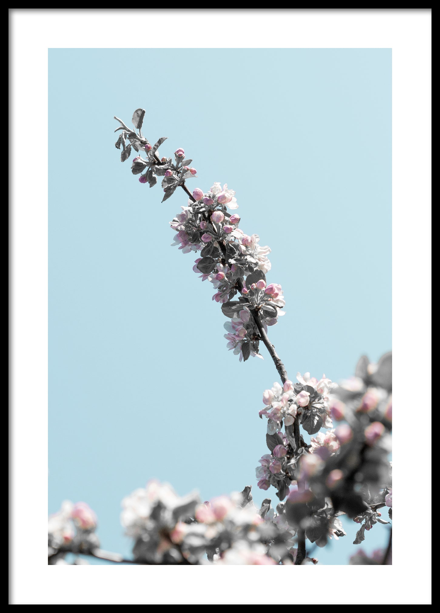 Spring apple tree poster 2