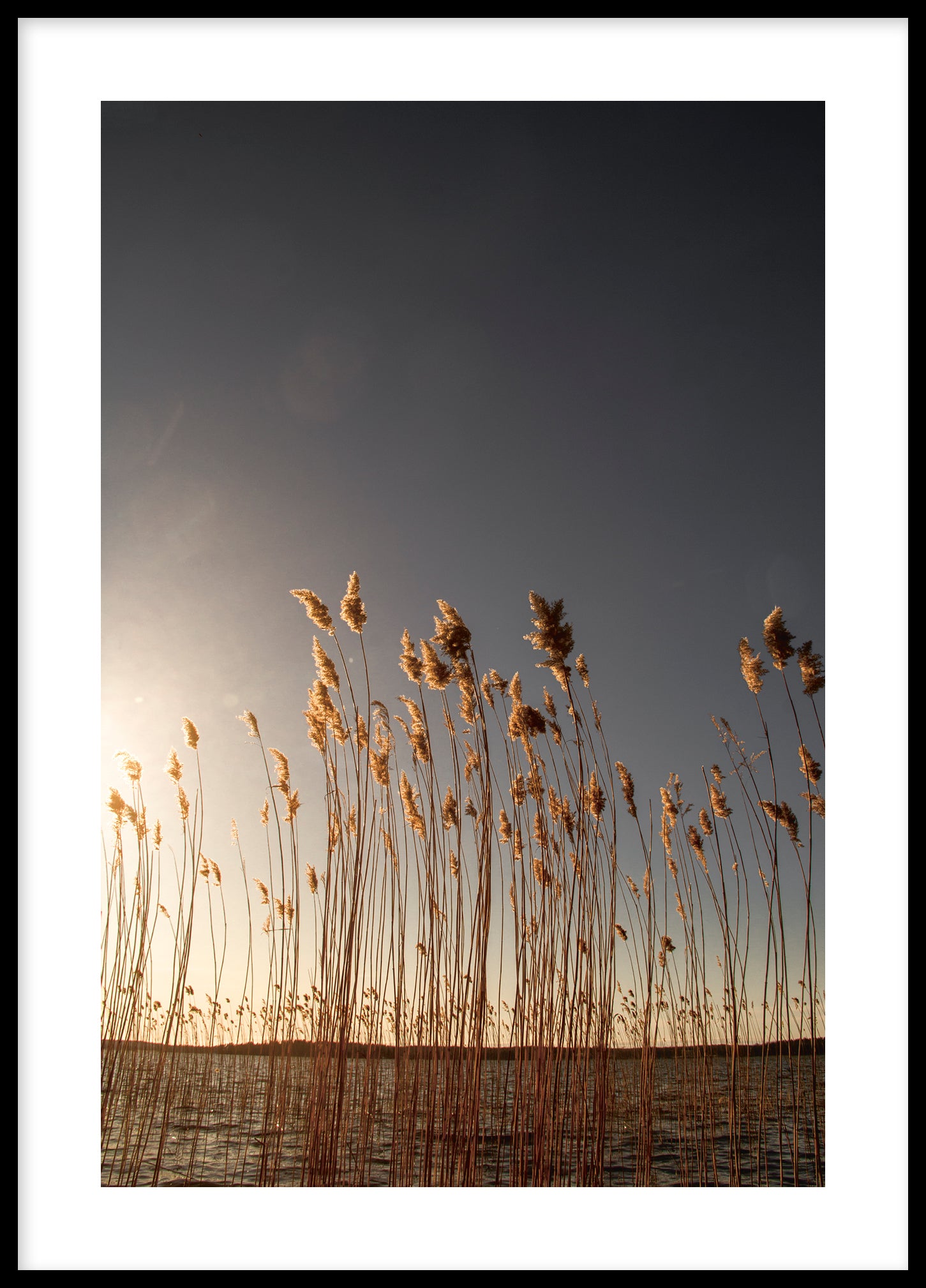 Reed Bolinder strand III