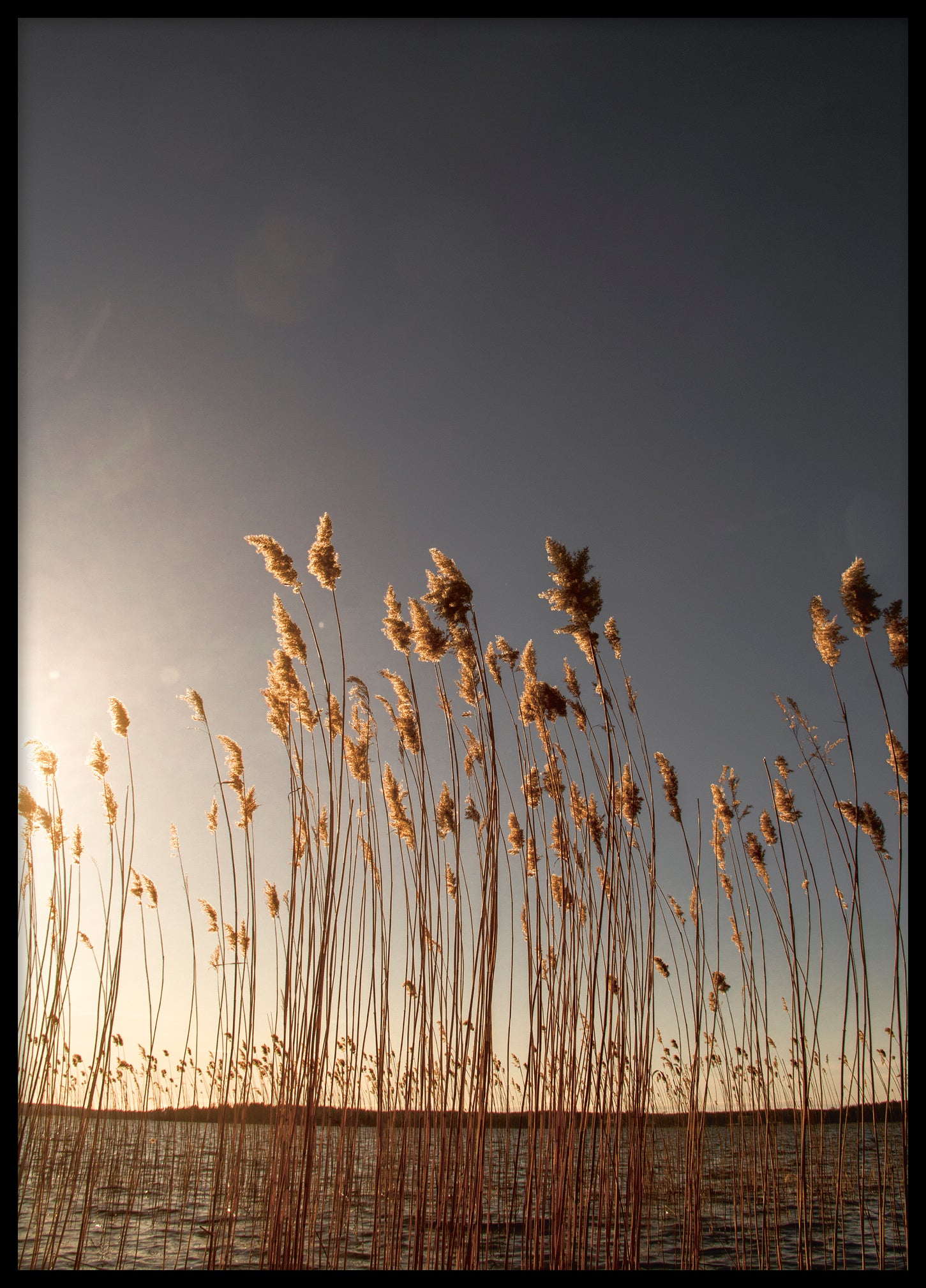 Reed Bolinder strand III