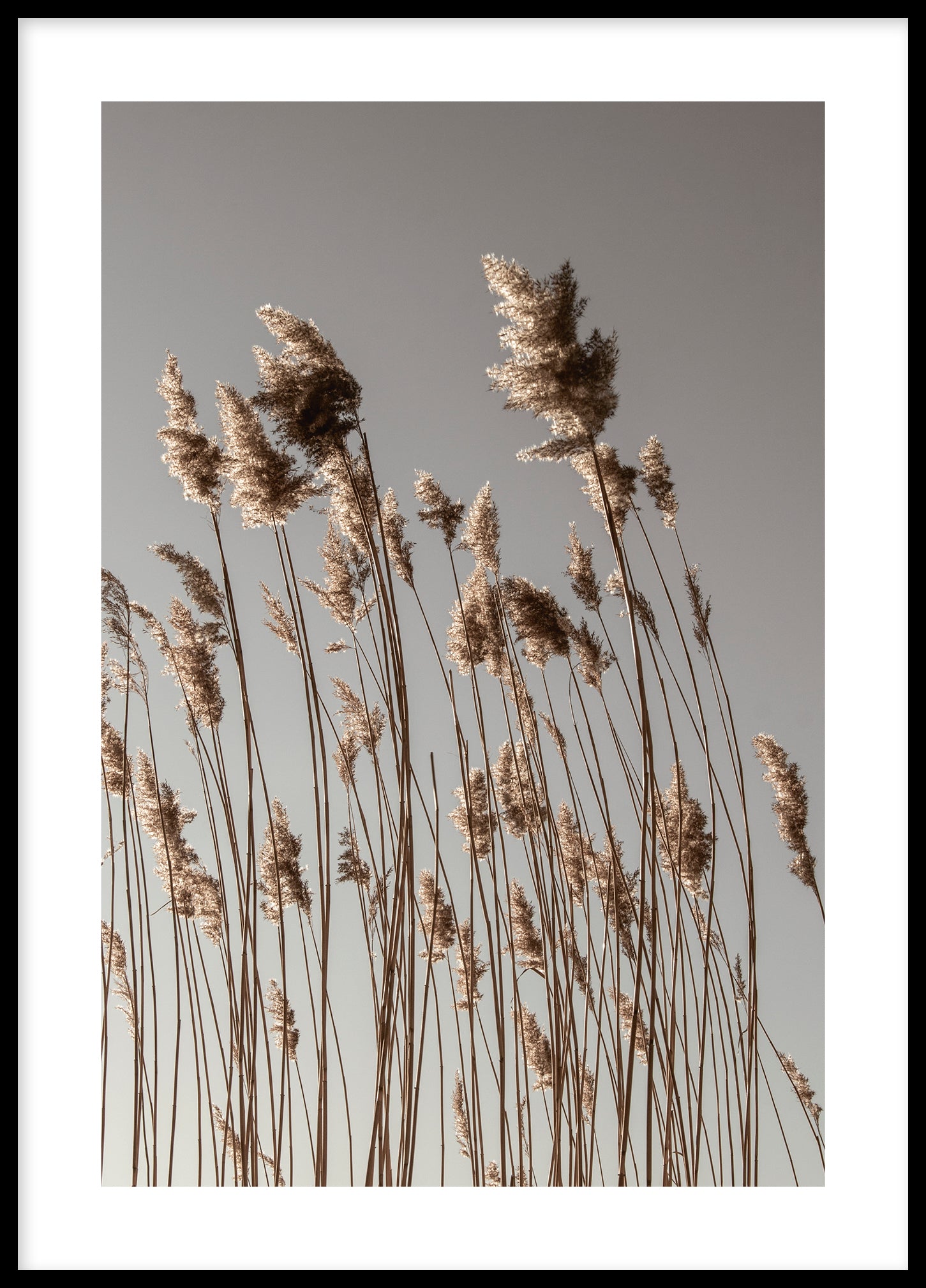 Reed Bolinder strand