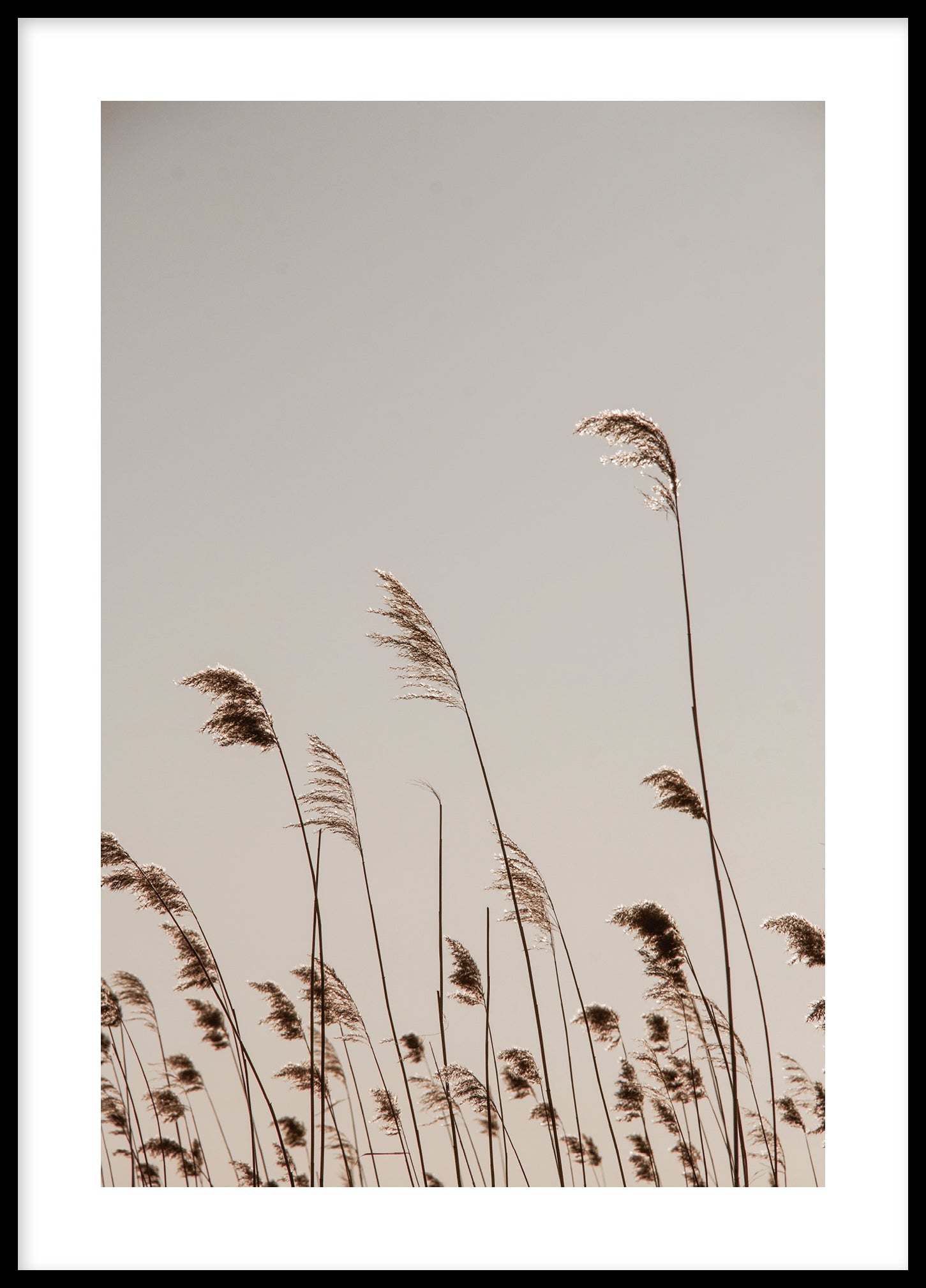 Reed Bolinder strand II