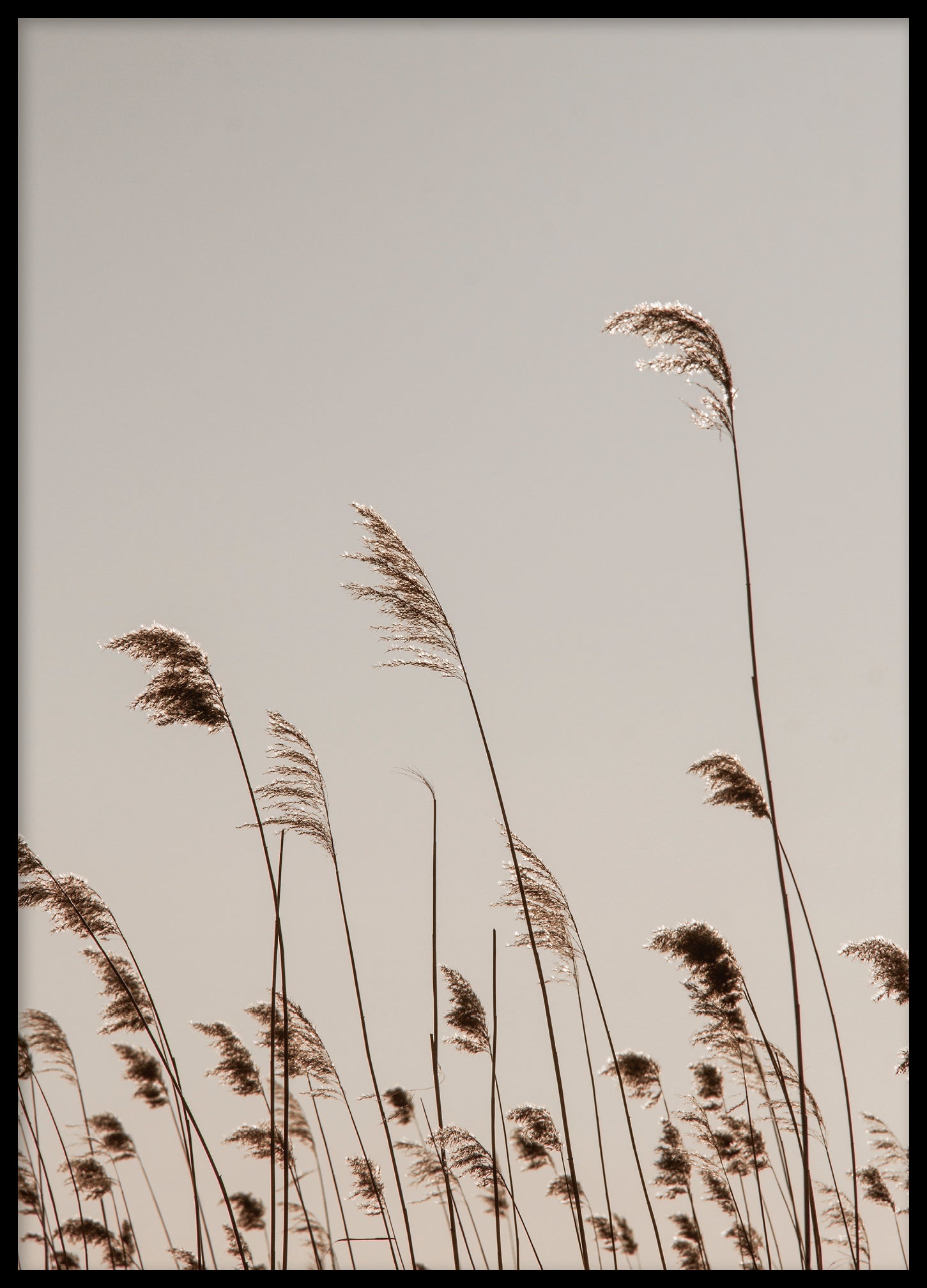 Reed Bolinder strand II