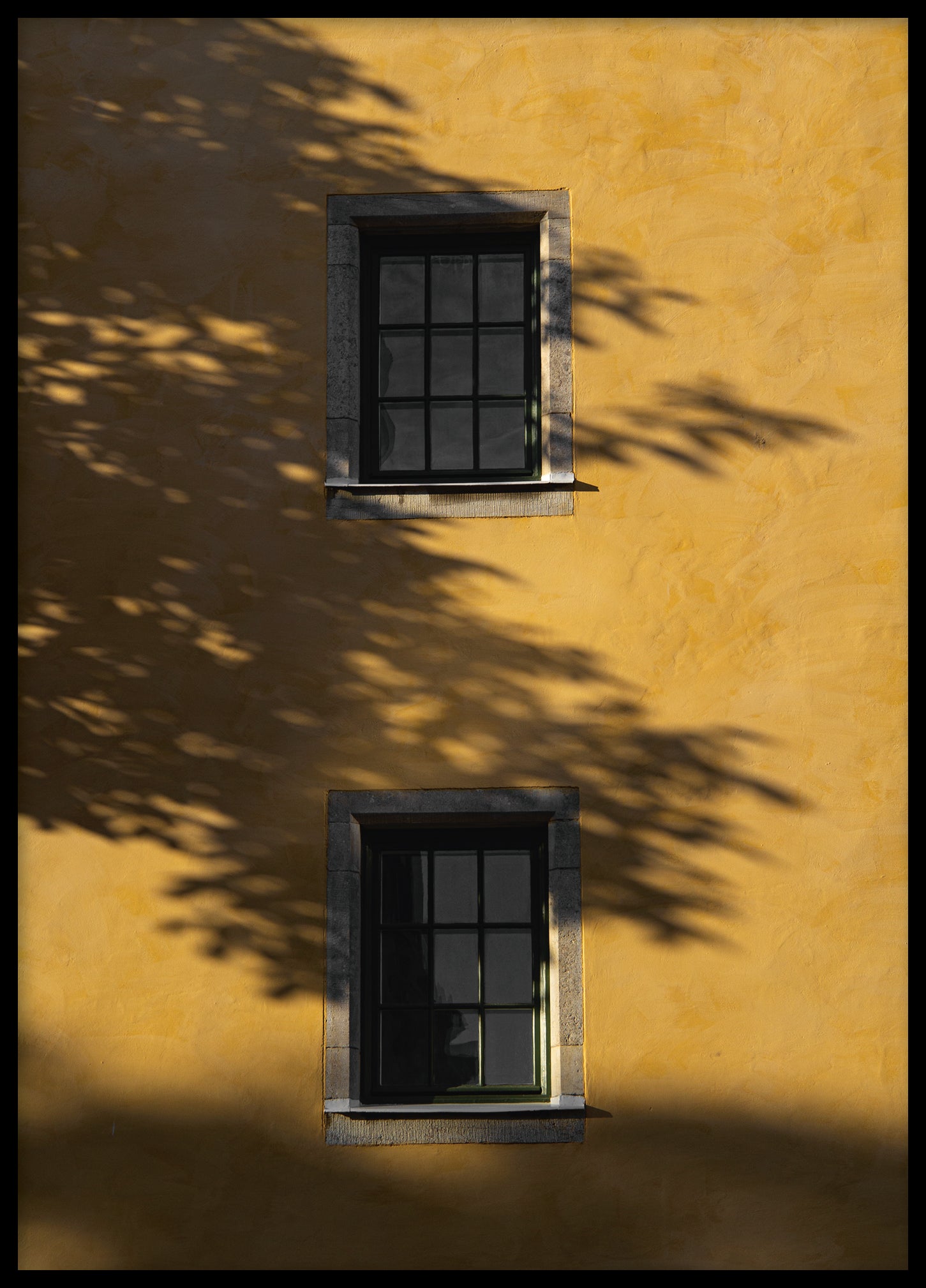 Visby windows